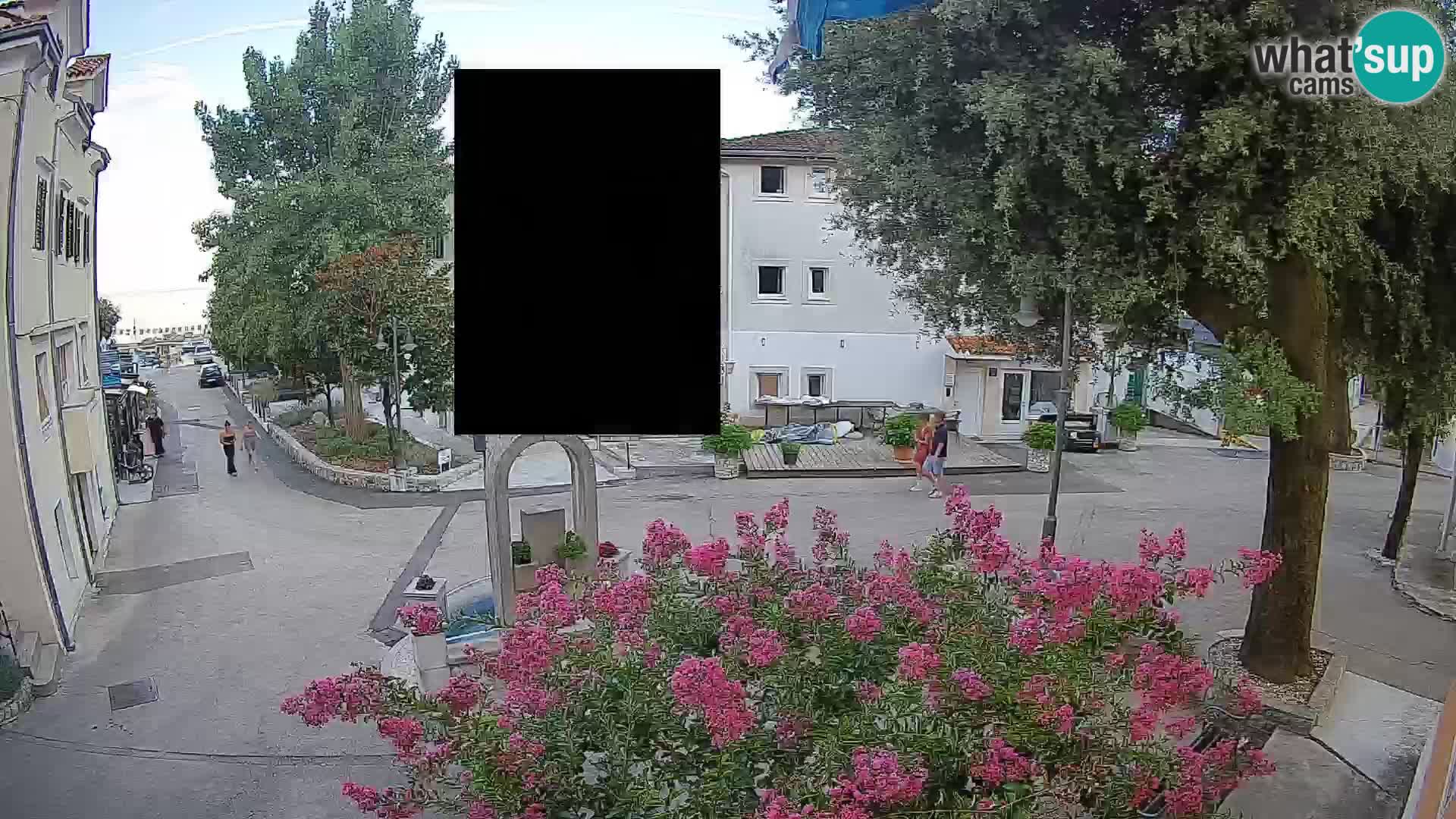 Webcam Centro Draga di Moschiena – Vista live sul centro