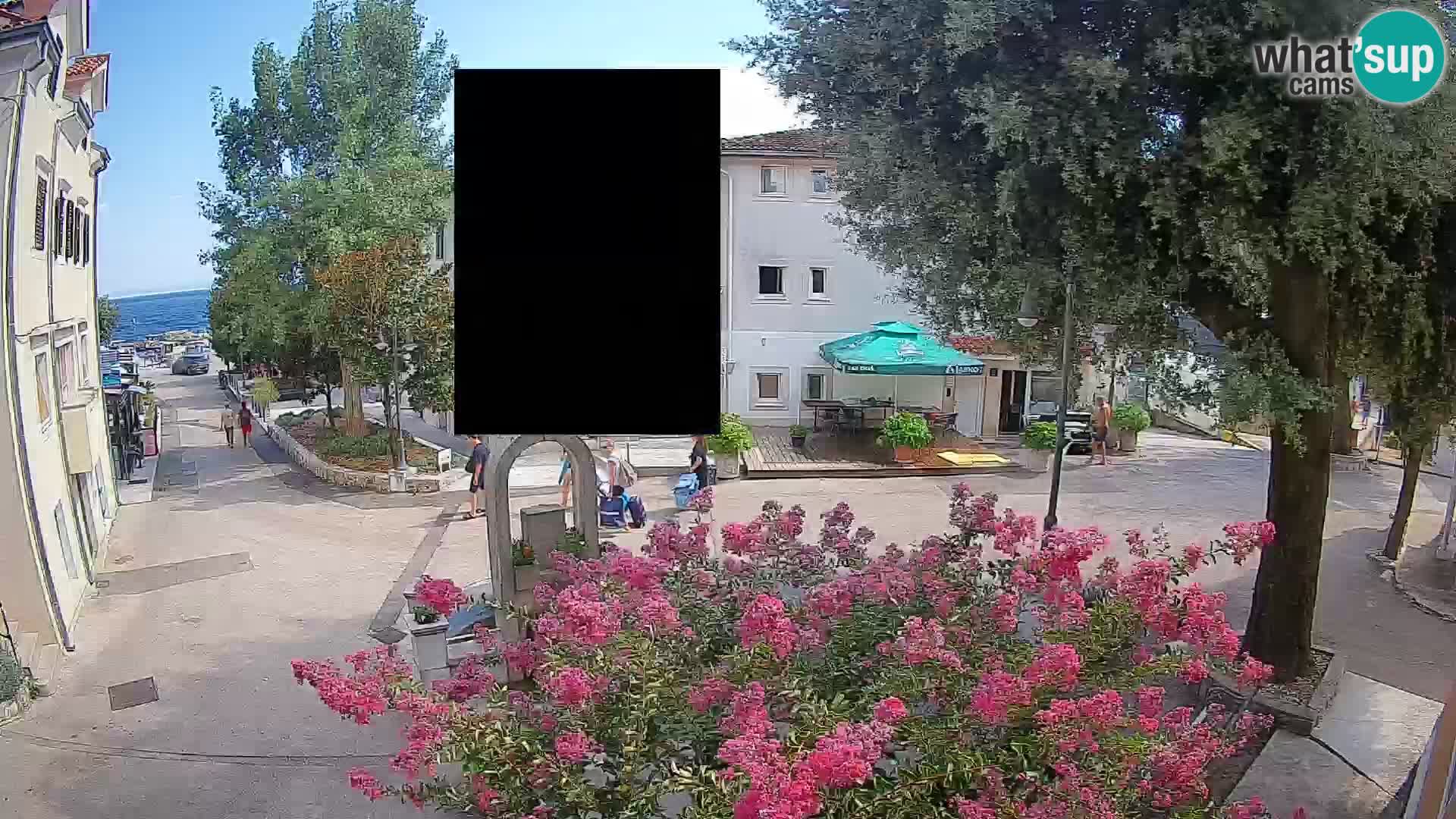 Webcam Centro Draga di Moschiena – Vista live sul centro