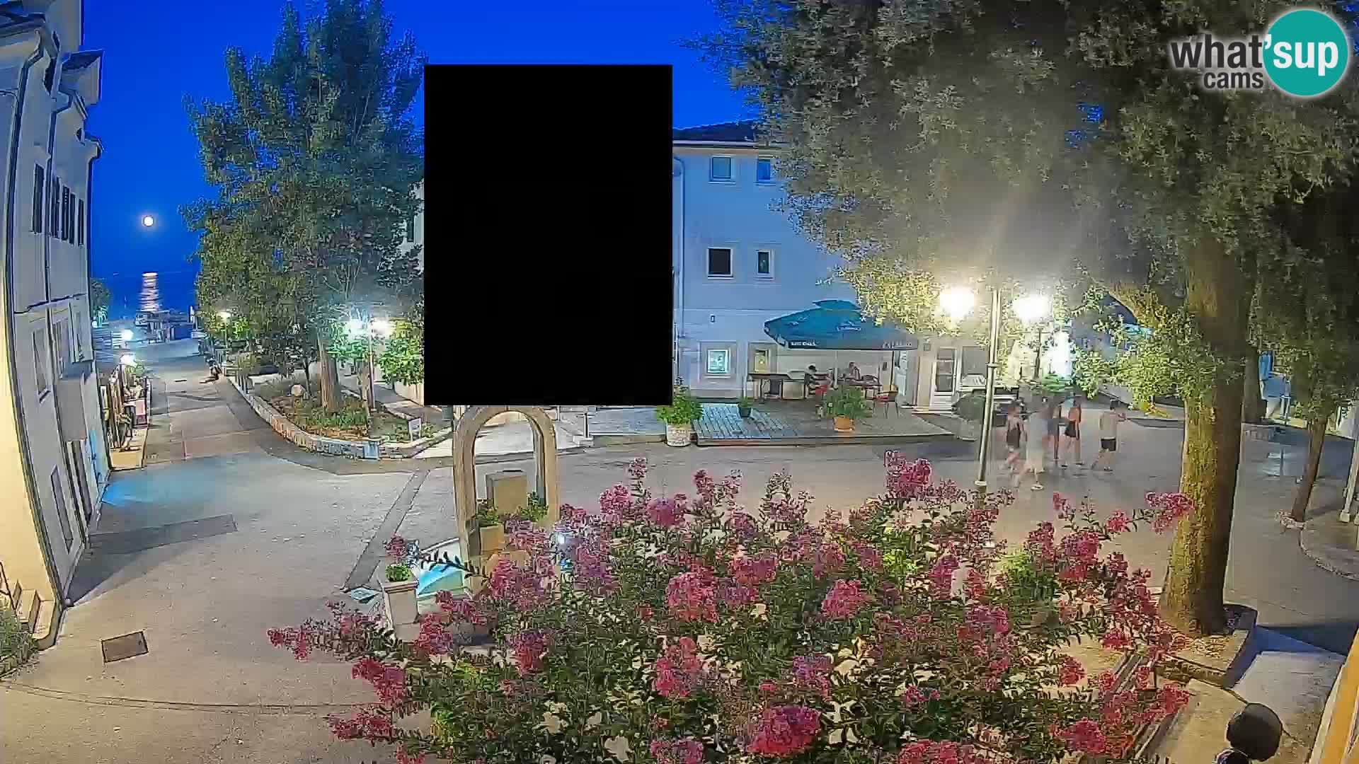 Webcam Centro Draga di Moschiena – Vista live sul centro