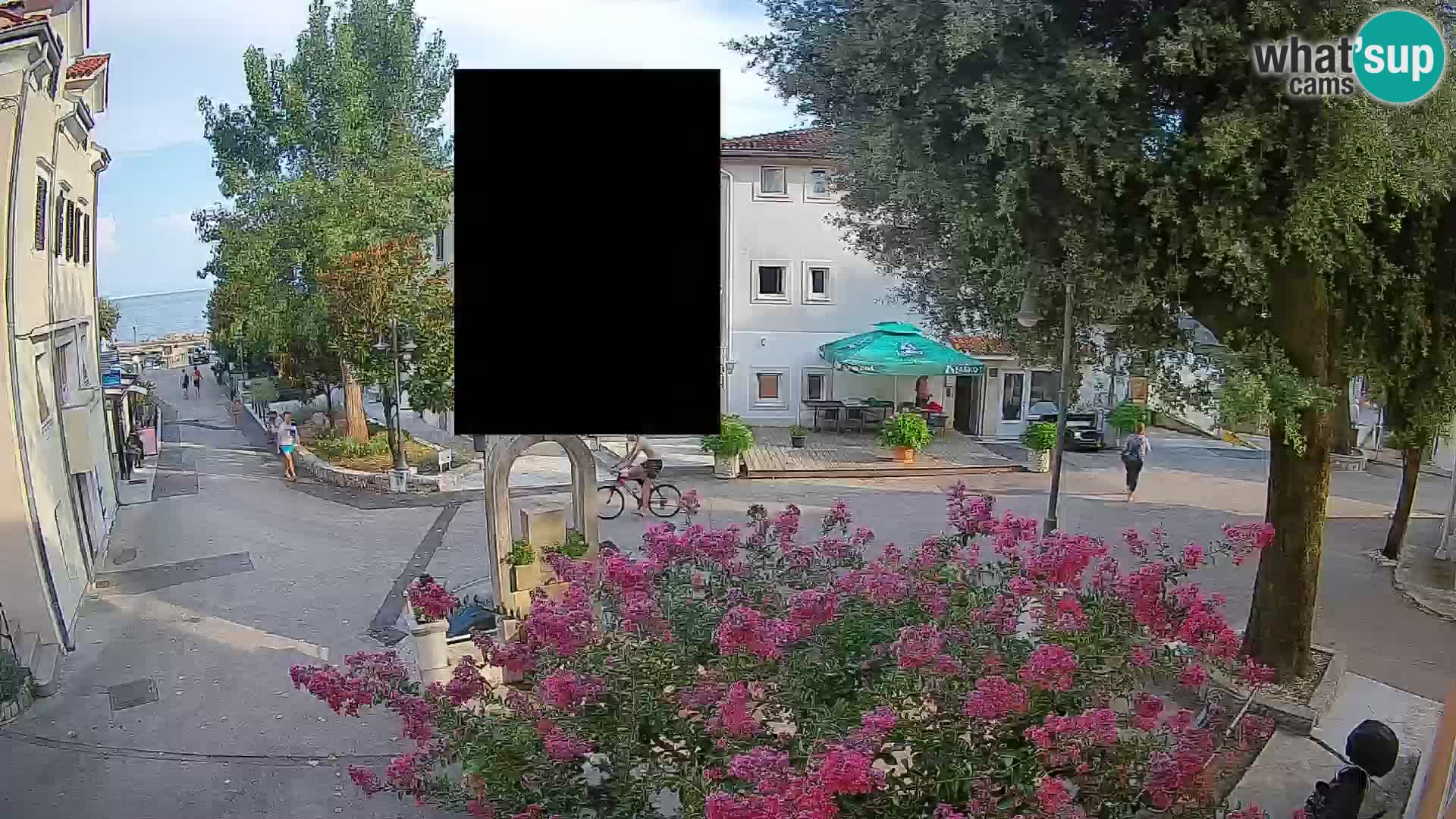 Webcam Centre de Mošćenička Draga – Vue en direct du centre-ville