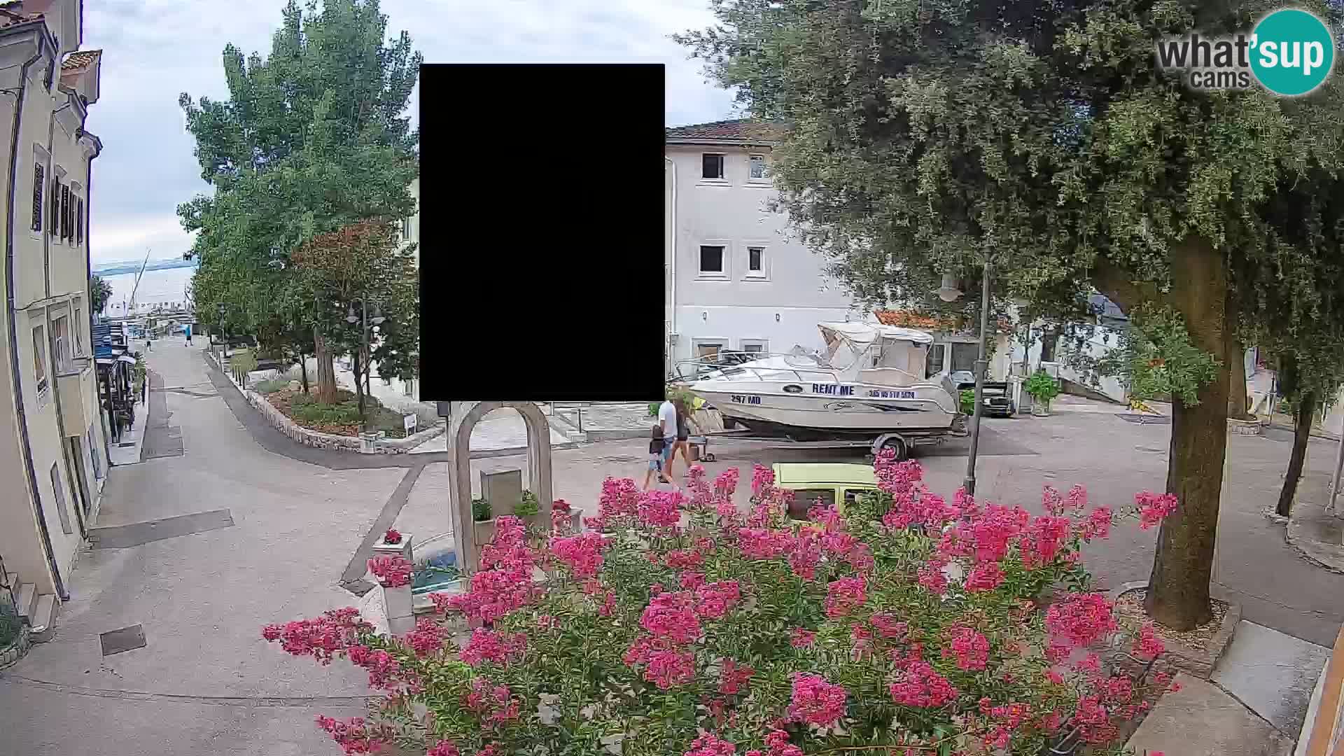 Webcam Centro Draga di Moschiena – Vista live sul centro