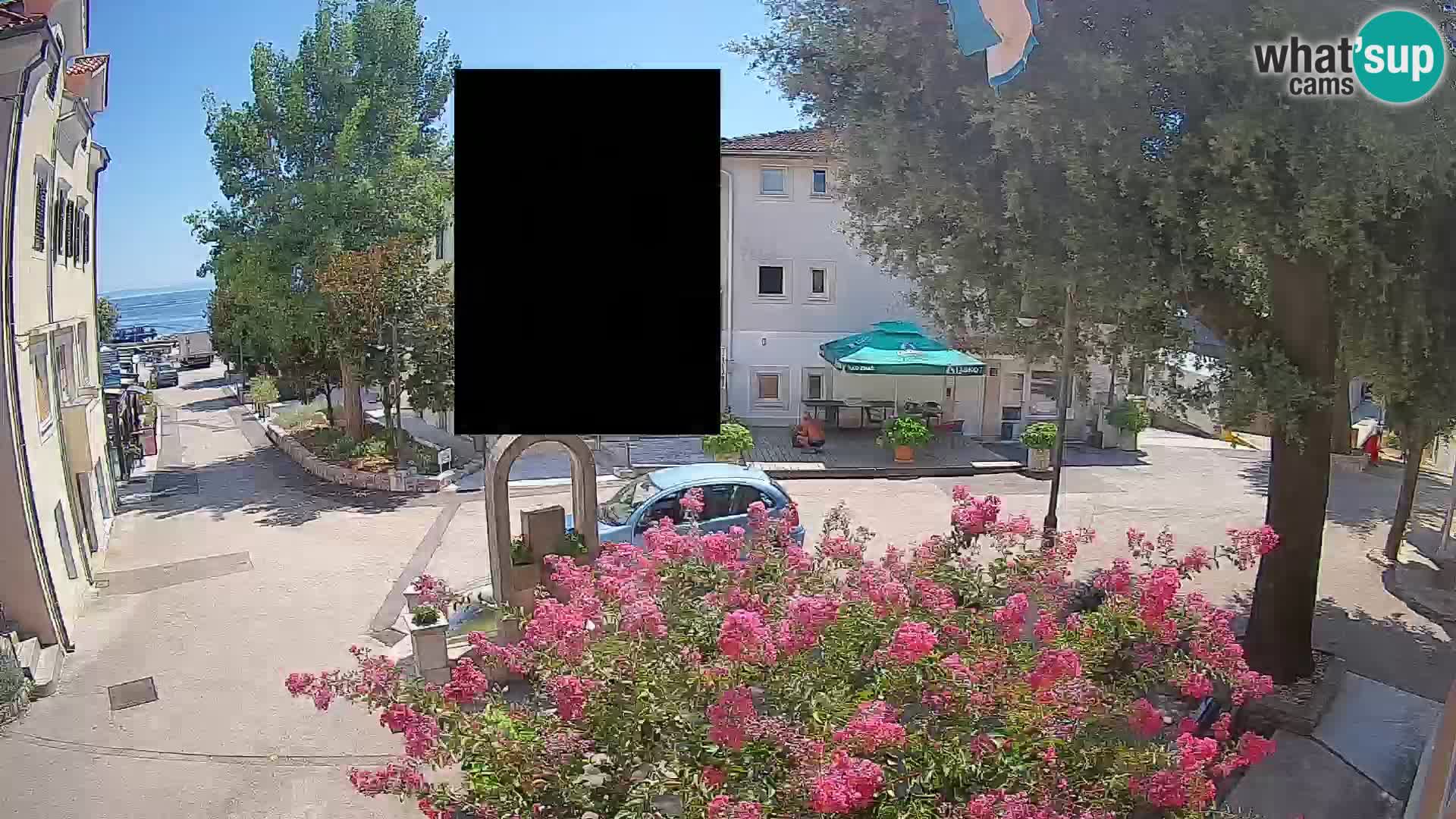 Webcam Centro Draga di Moschiena – Vista live sul centro