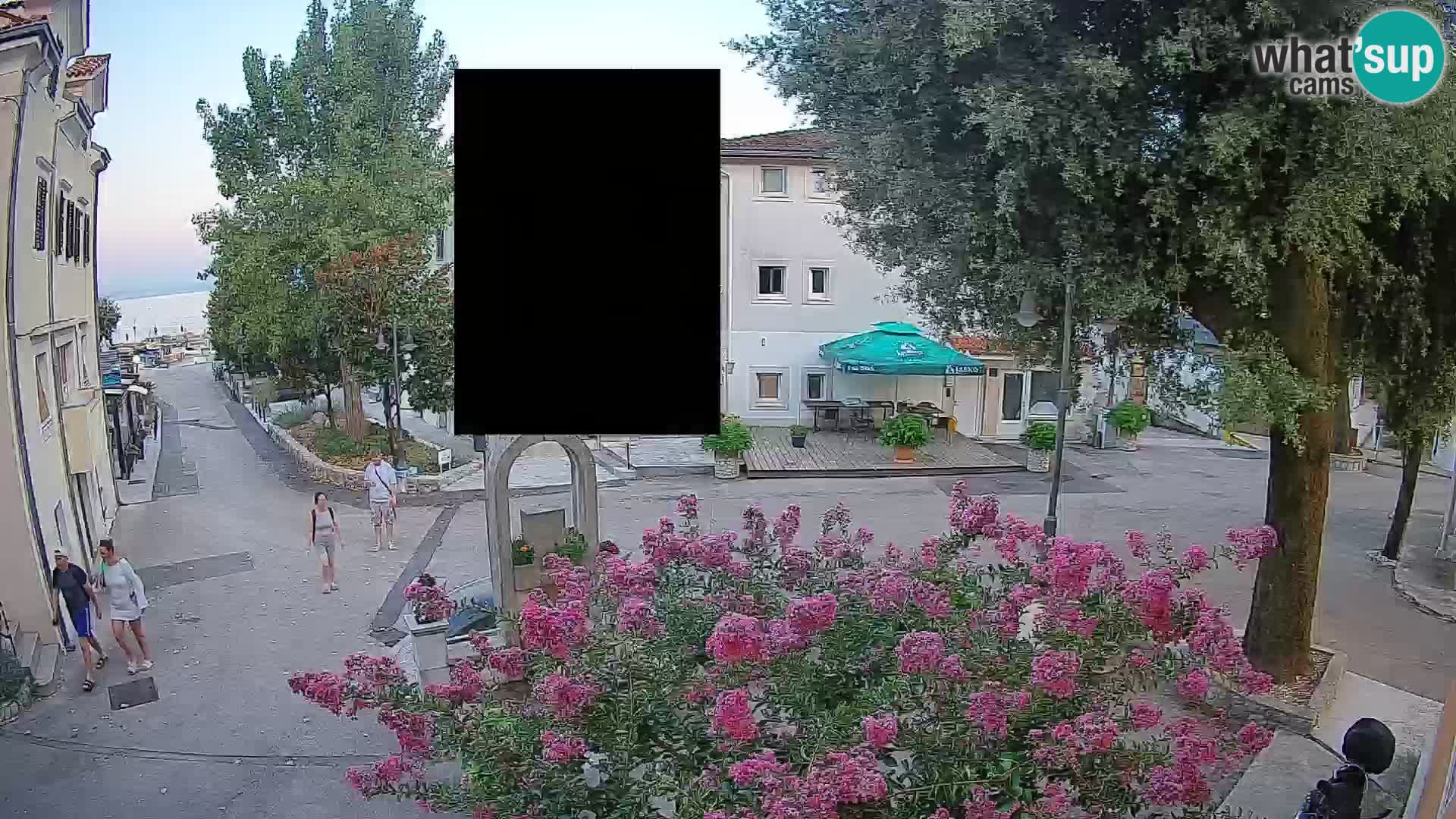 Webcam Centro Draga di Moschiena – Vista live sul centro