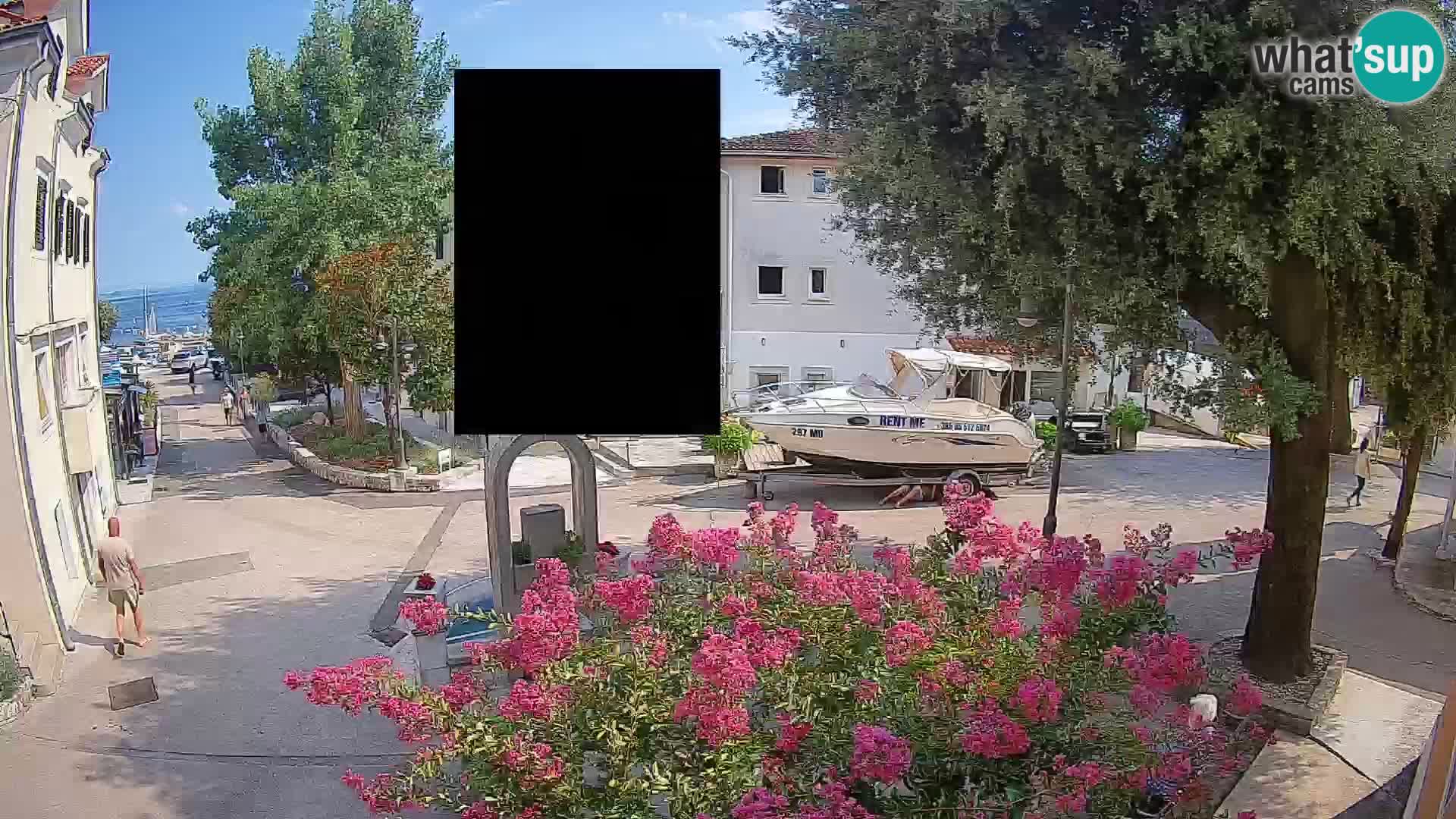 Webcam Centro Draga di Moschiena – Vista live sul centro