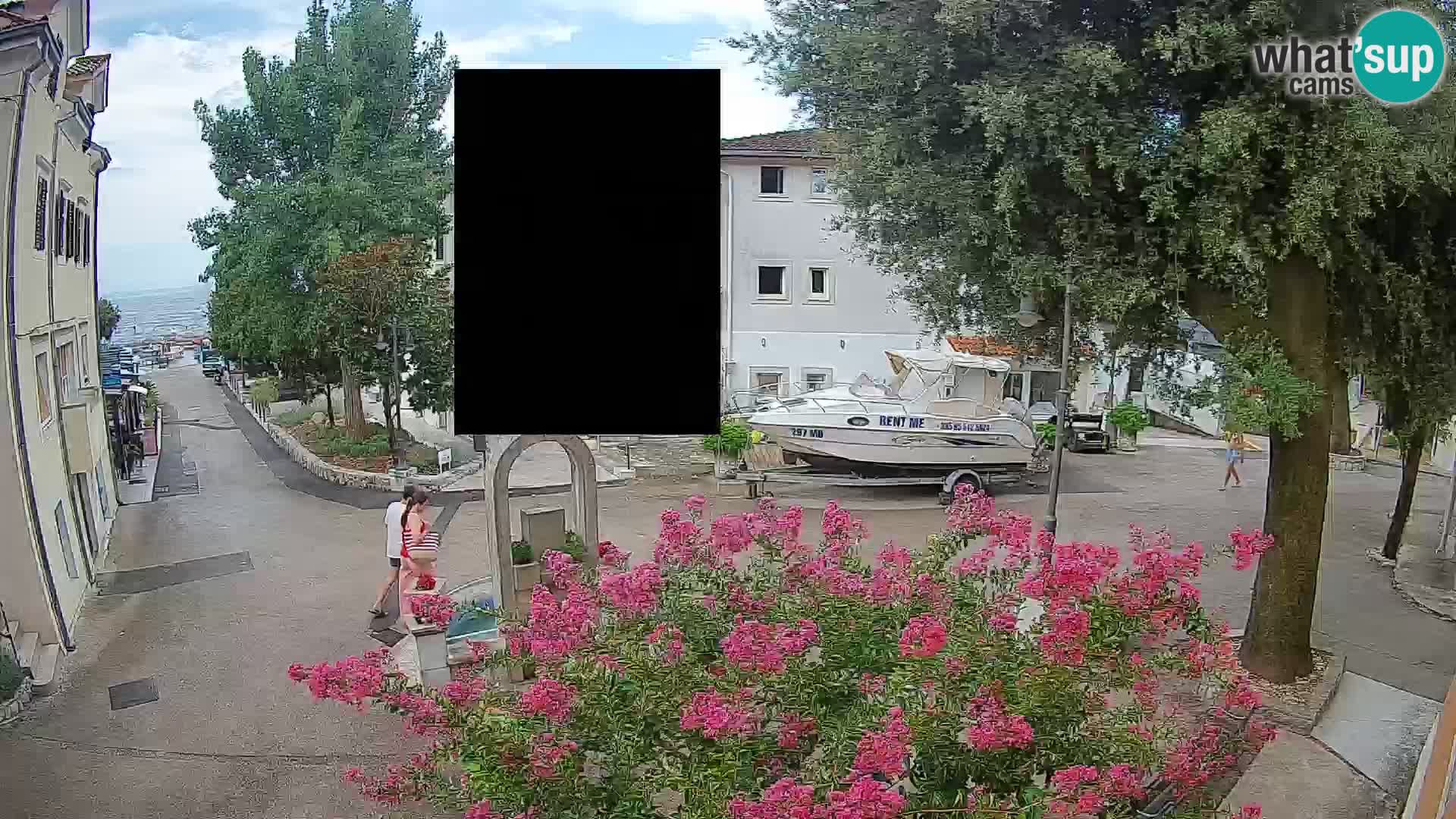 Webcam Centro Draga di Moschiena – Vista live sul centro
