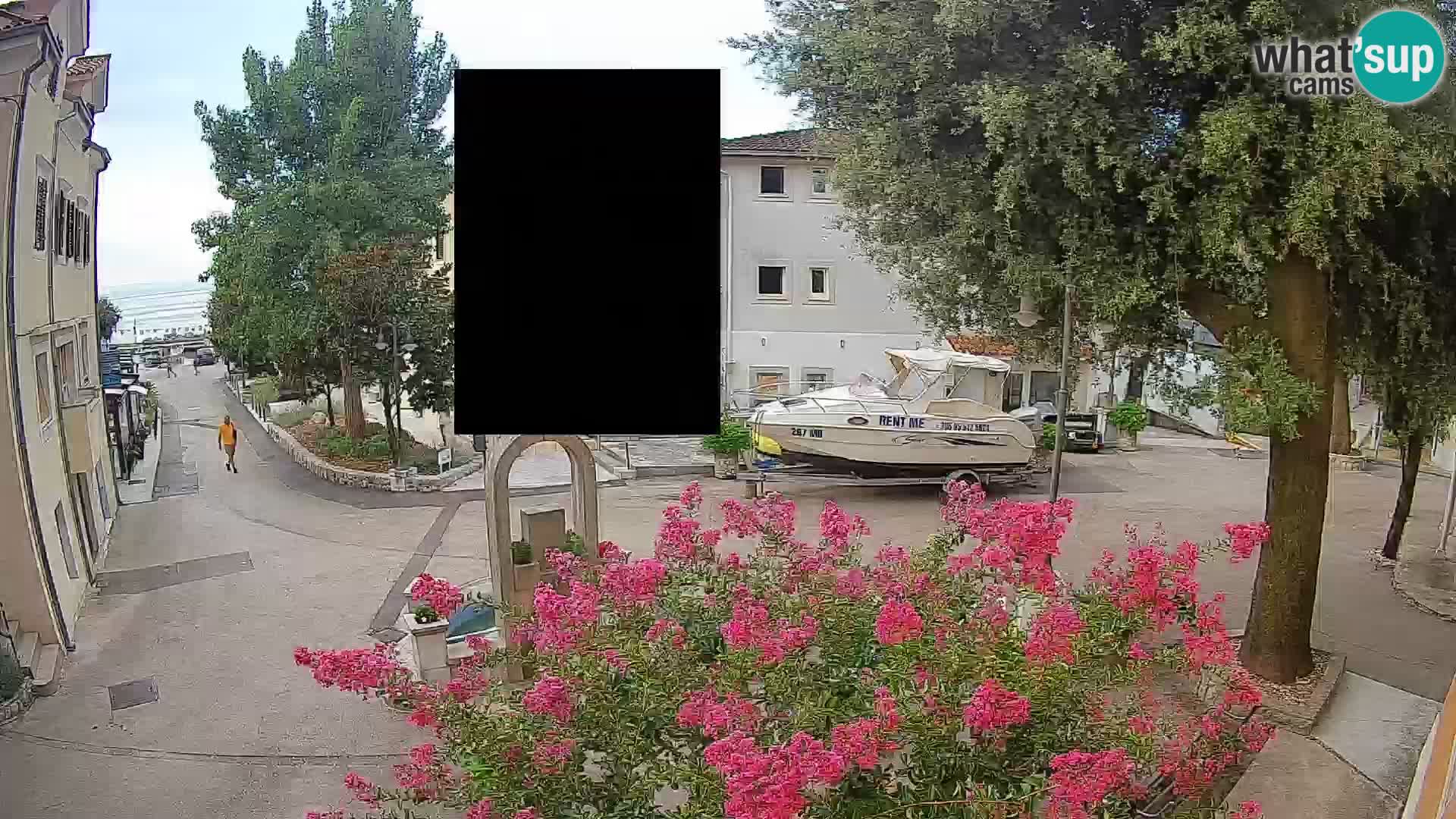 Webcam Centro Draga di Moschiena – Vista live sul centro