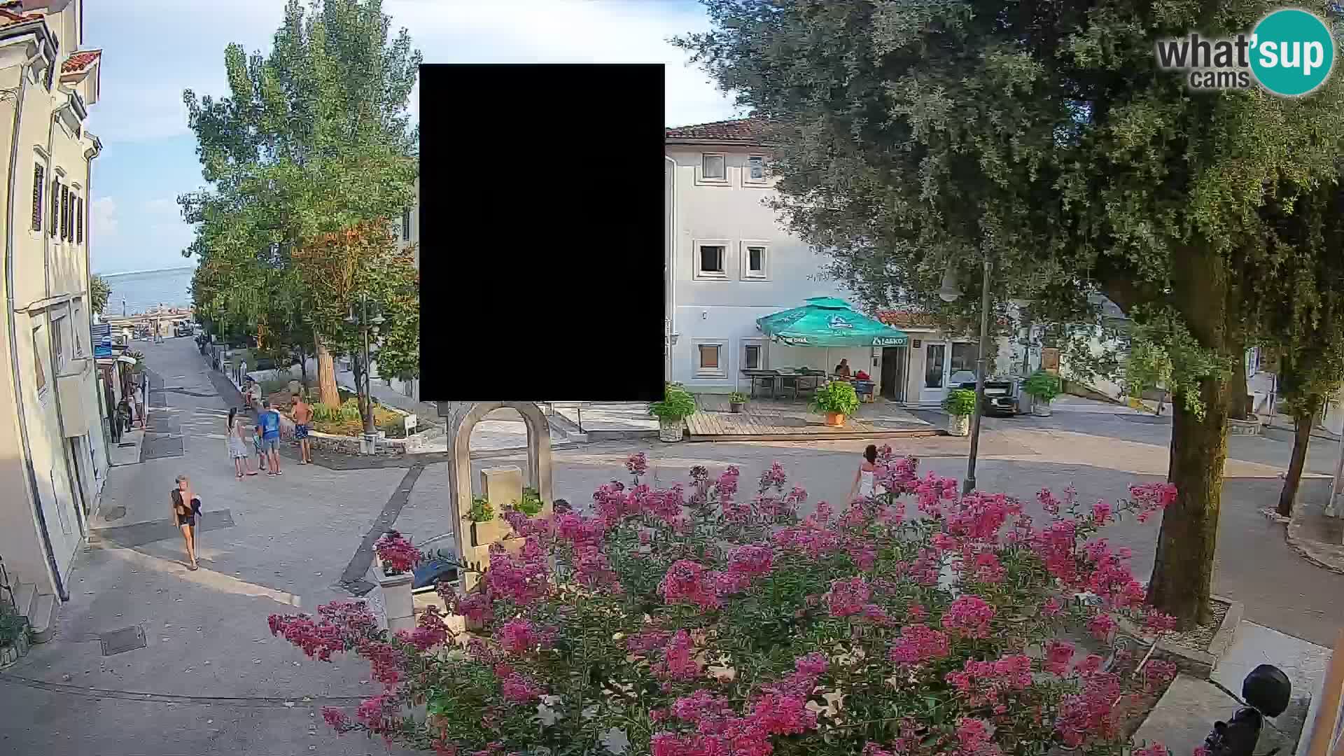 Webcam Centro Draga di Moschiena – Vista live sul centro