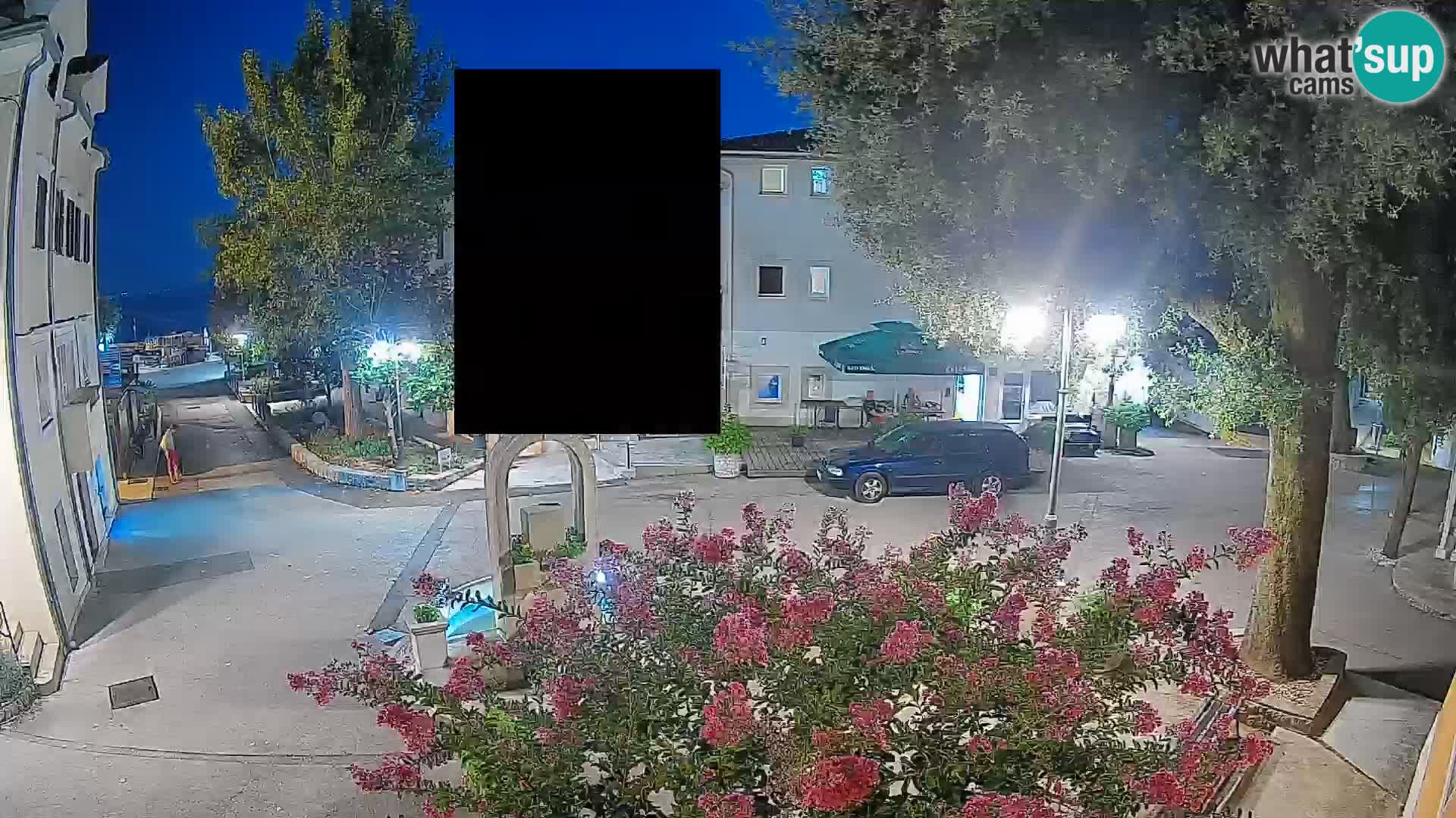 Webcam Centro Draga di Moschiena – Vista live sul centro