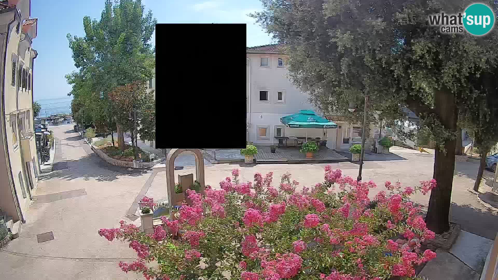 Webcam Centro Draga di Moschiena – Vista live sul centro