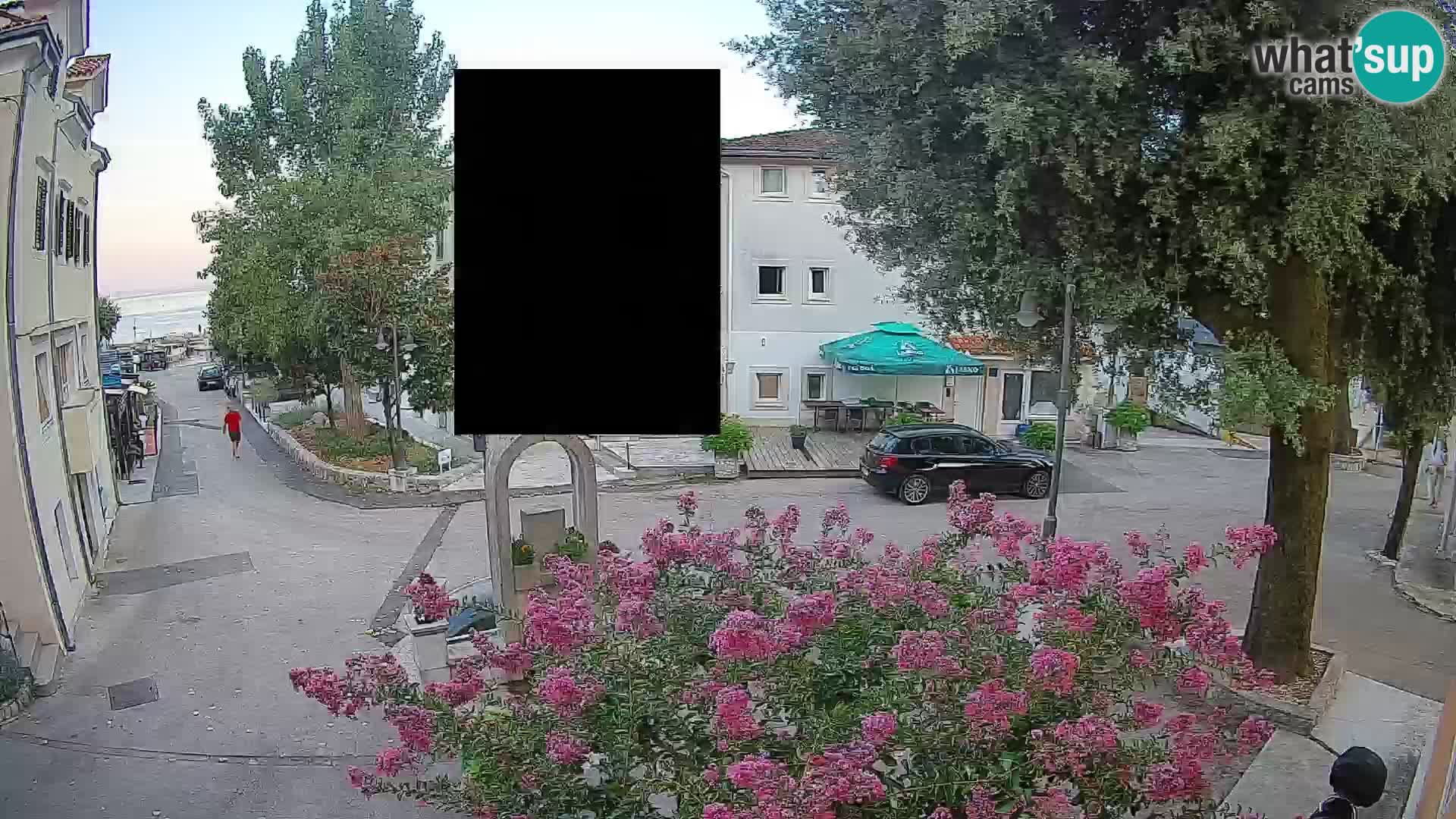 Webcam Centro Draga di Moschiena – Vista live sul centro