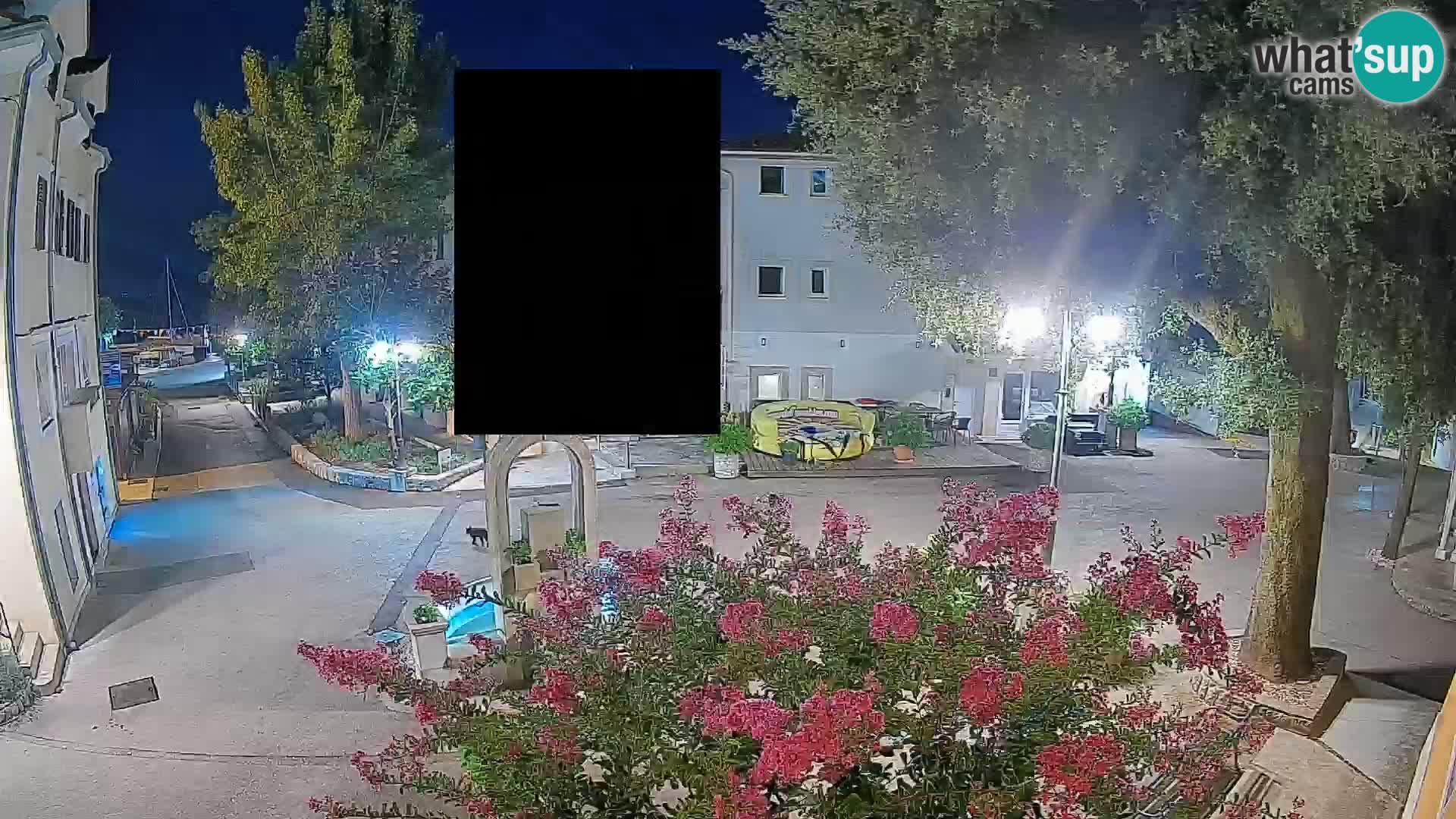 Web kamera centar Mošćeničke Drage – Pogled uživo