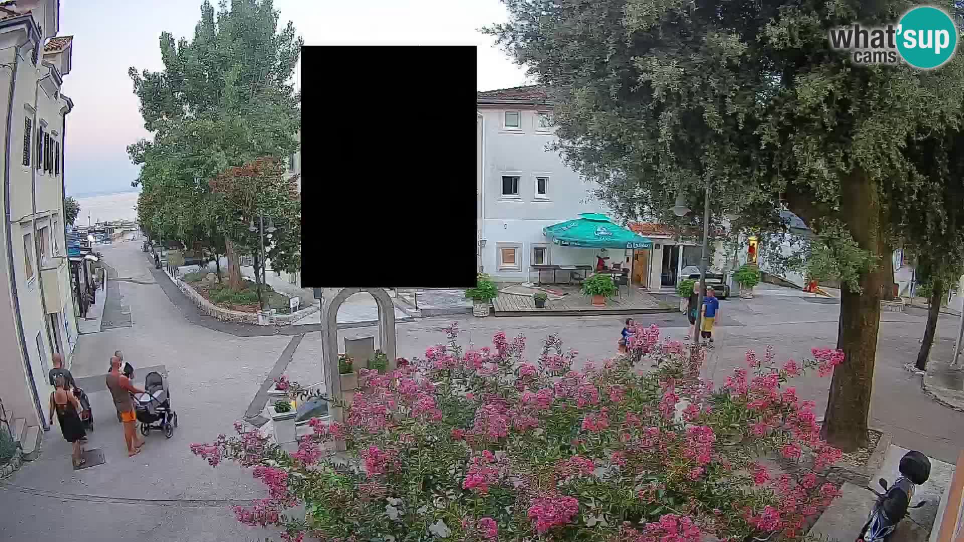 Webcam Centro Draga di Moschiena – Vista live sul centro