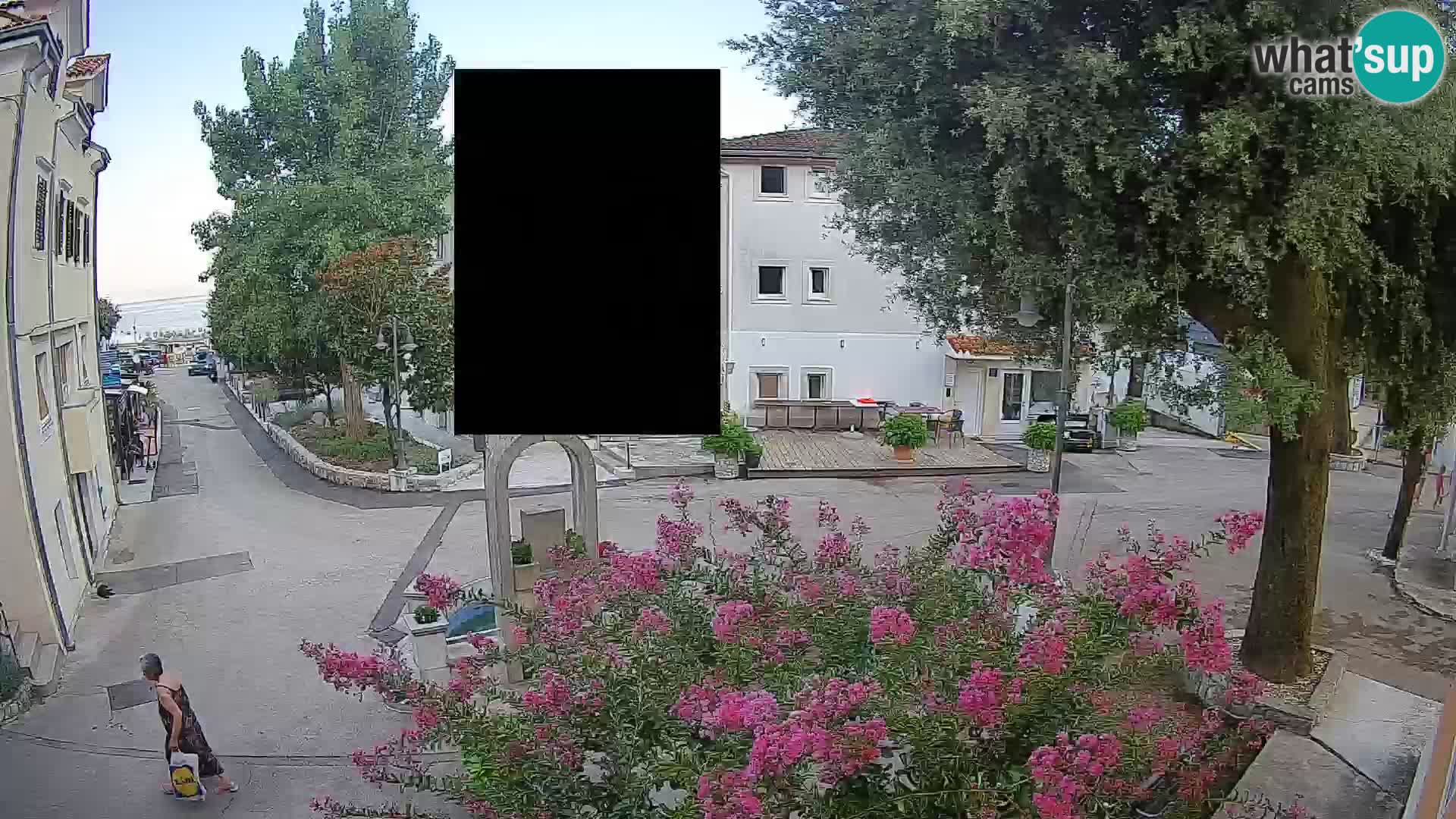 Webcam Centro Draga di Moschiena – Vista live sul centro