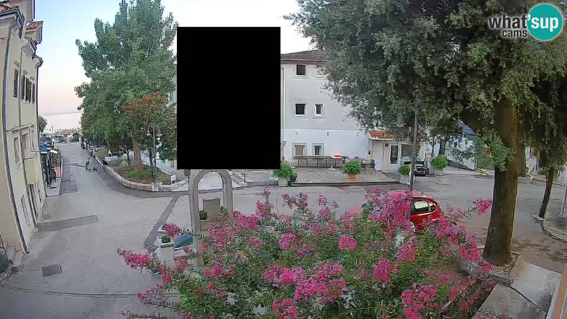 Webcam Centro Draga di Moschiena – Vista live sul centro