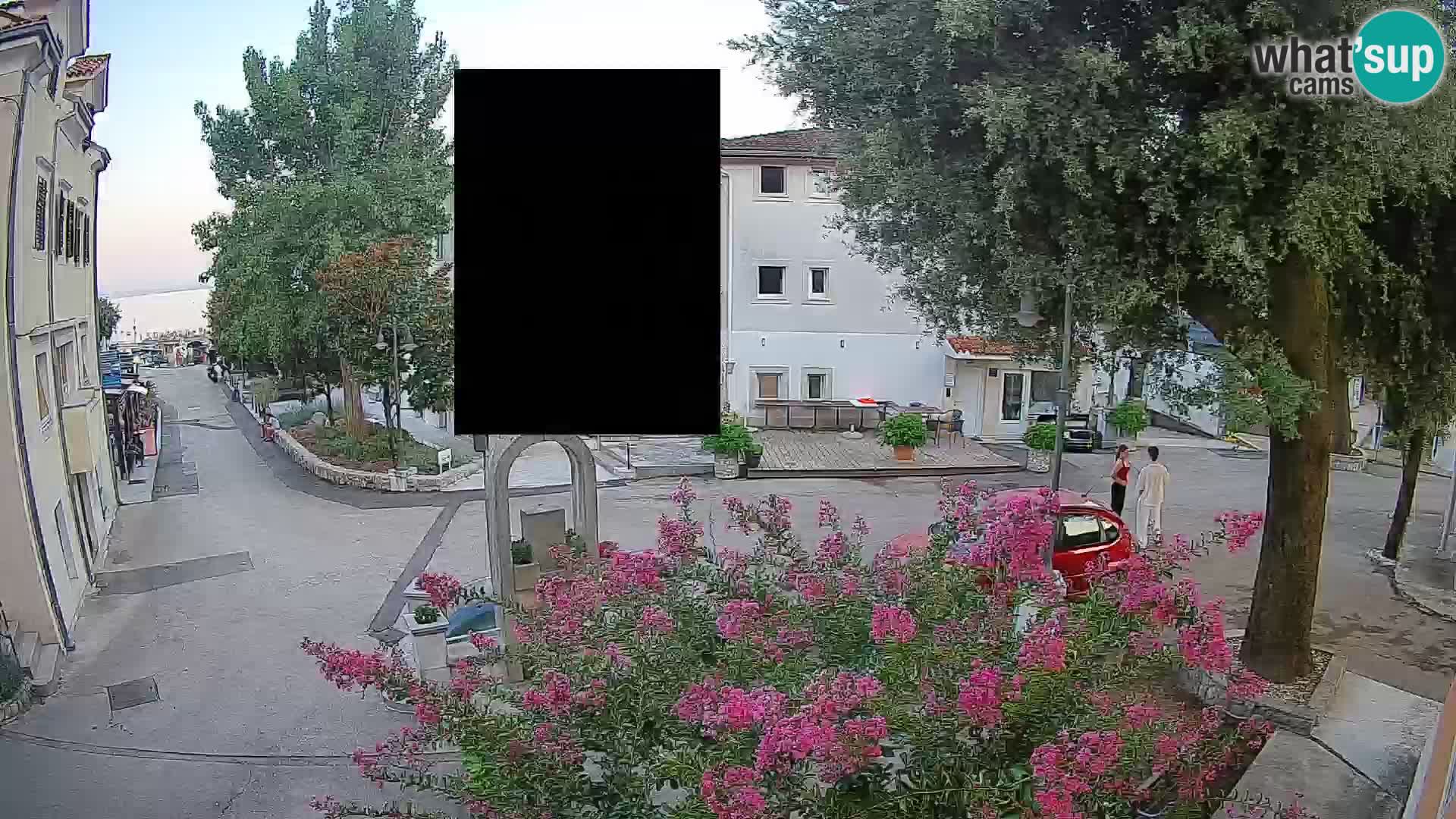 Webcam Centro Draga di Moschiena – Vista live sul centro