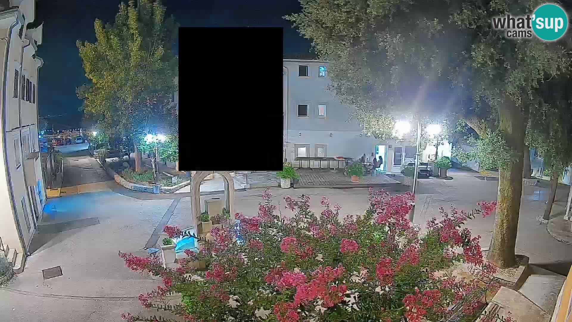 Webcam Centro Draga di Moschiena – Vista live sul centro