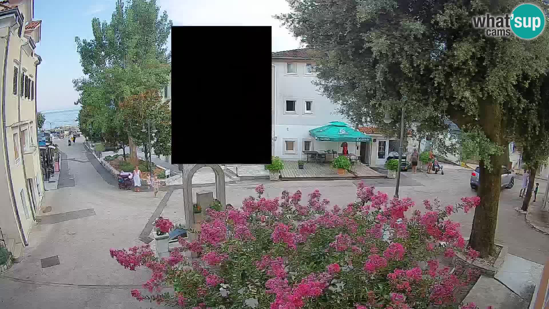 Webcam Centro Draga di Moschiena – Vista live sul centro