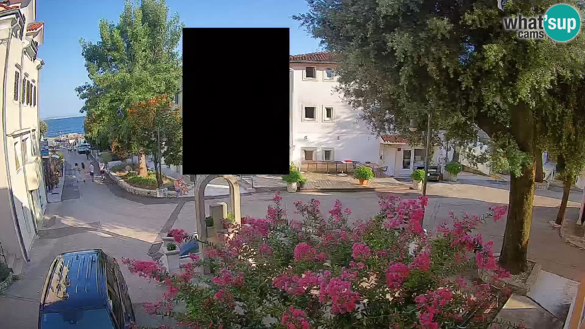 Webcam Centro Draga di Moschiena – Vista live sul centro