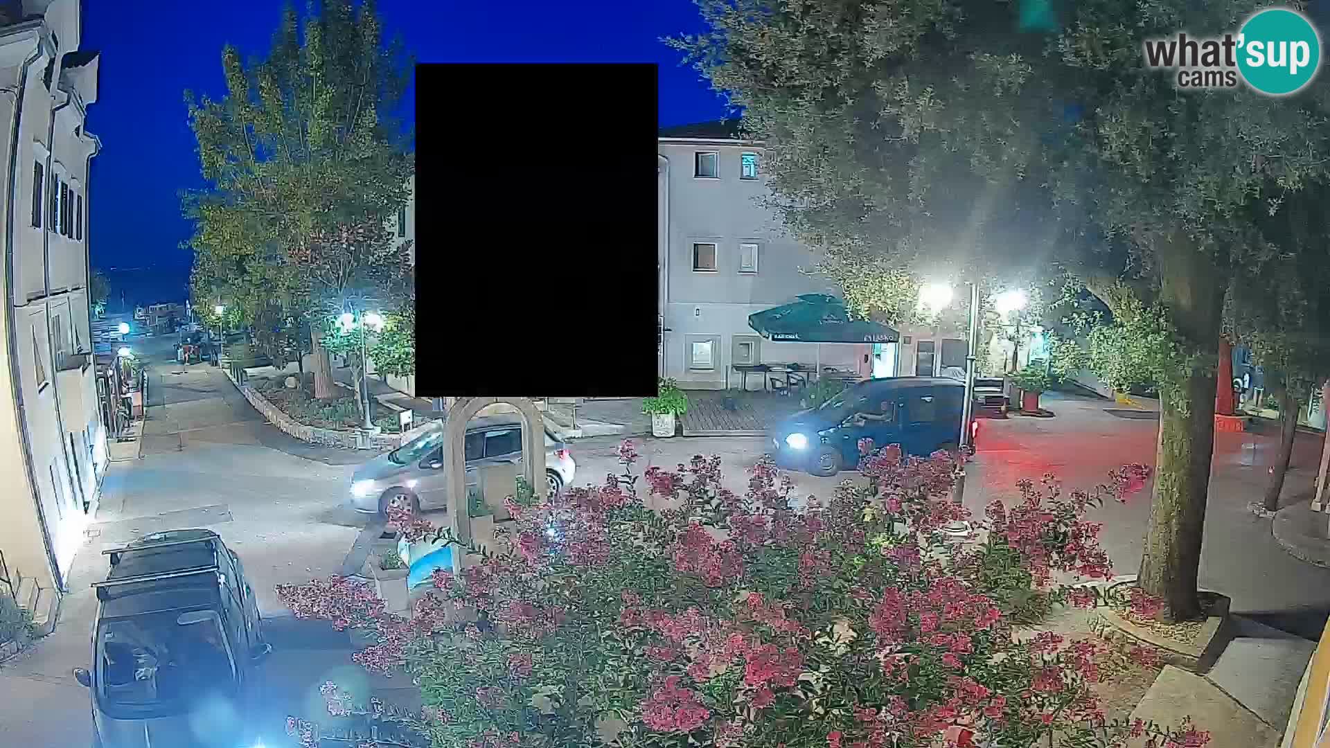 Webcam Centro Draga di Moschiena – Vista live sul centro