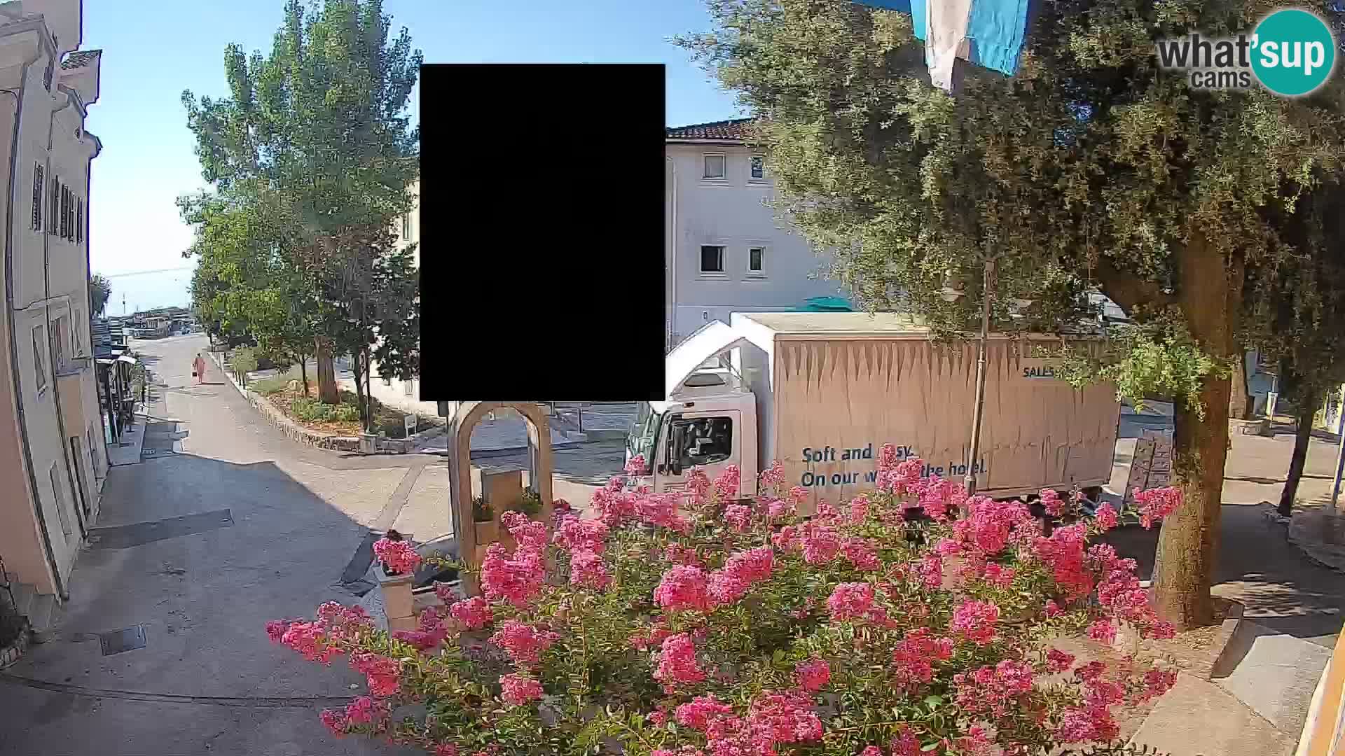 Webcam Centro Draga di Moschiena – Vista live sul centro