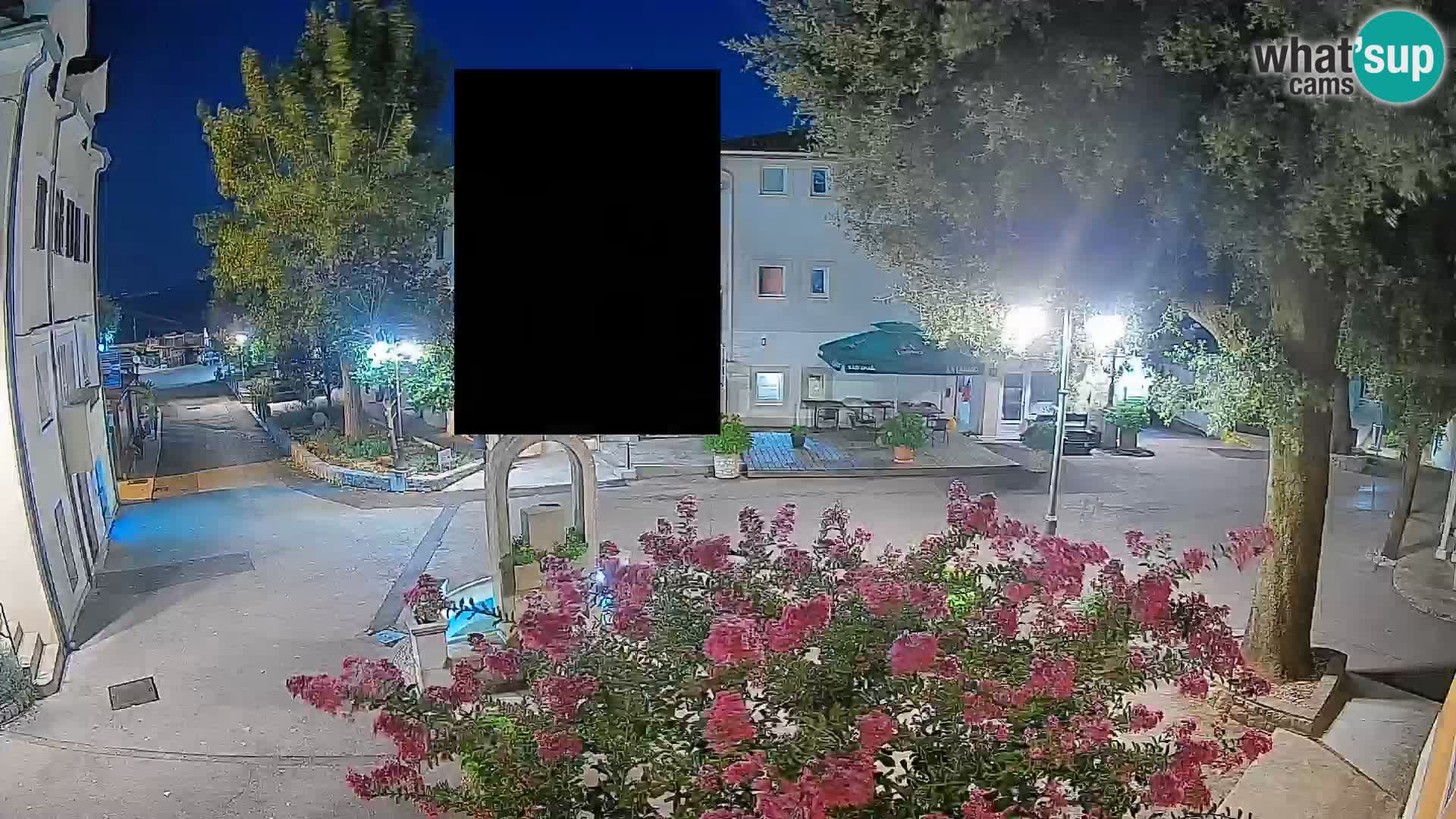 Webcam Centro Draga di Moschiena – Vista live sul centro