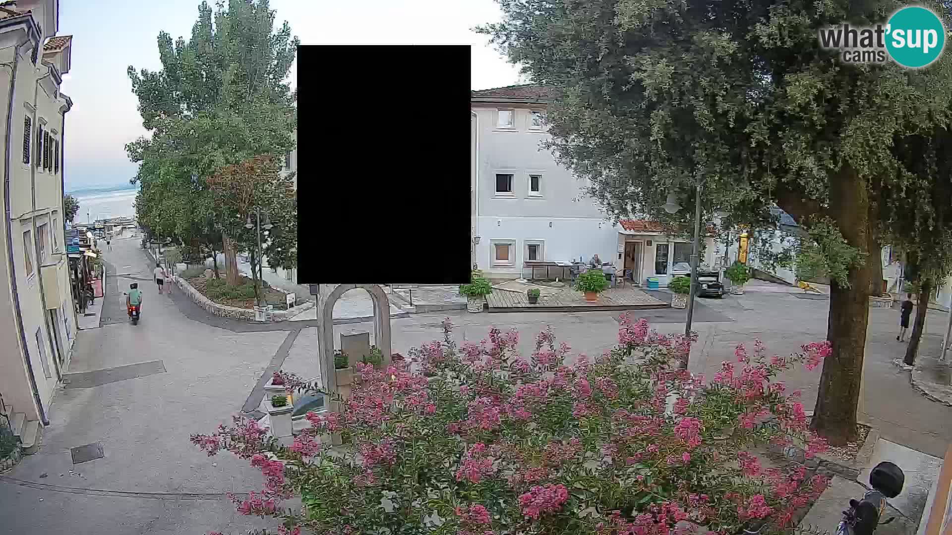 Web kamera centar Mošćeničke Drage – Pogled uživo