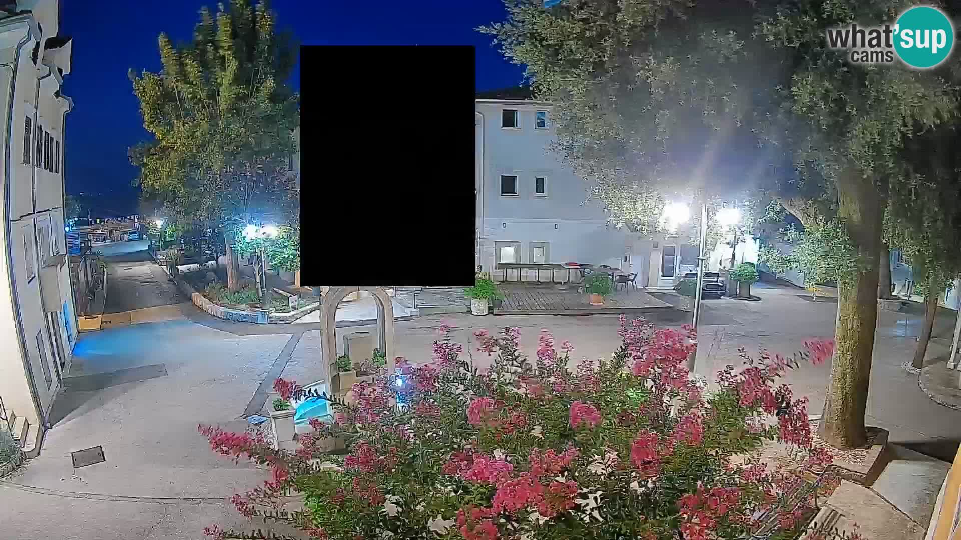 Webcam Centro Draga di Moschiena – Vista live sul centro