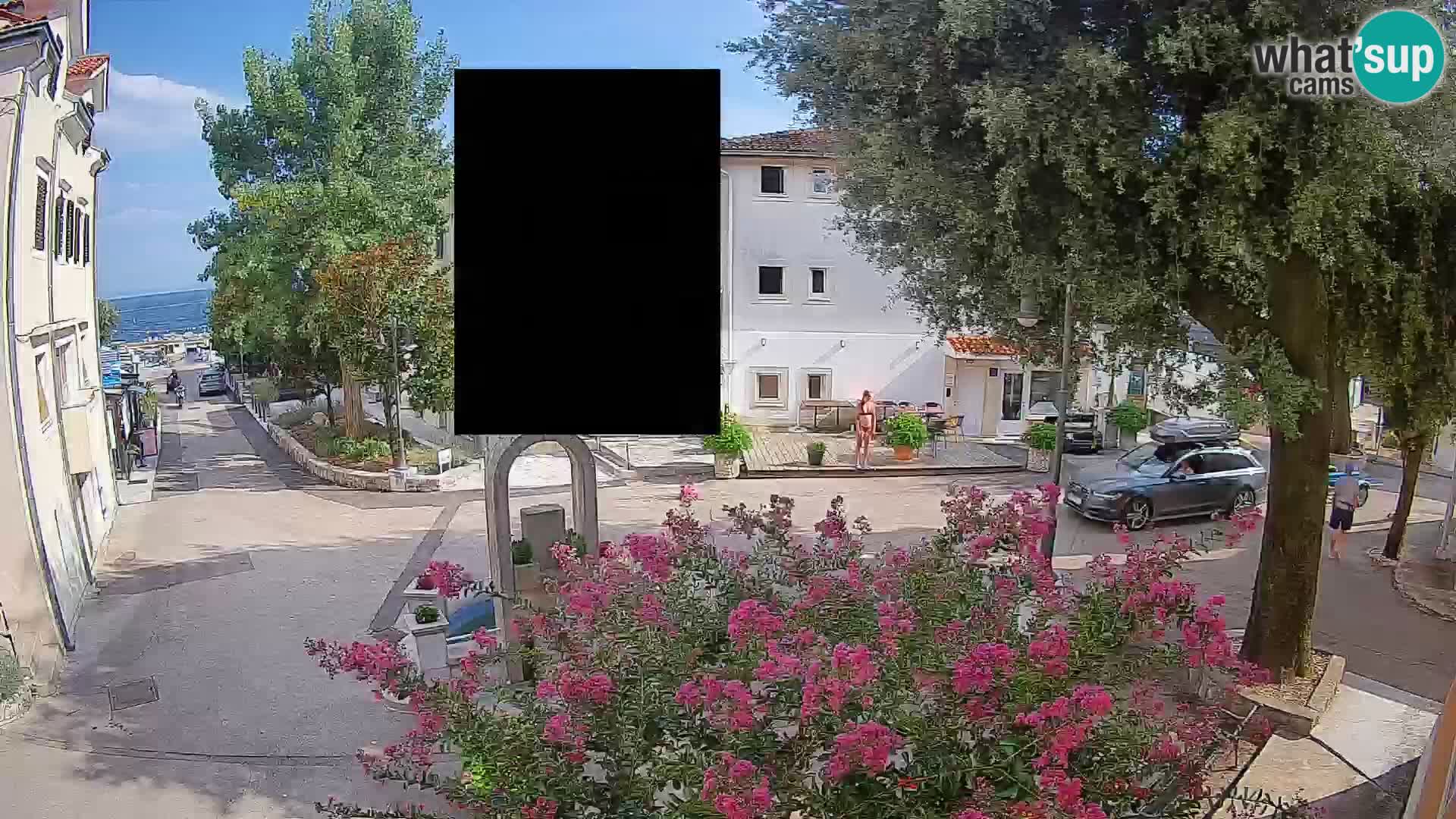 Webcam Centro Draga di Moschiena – Vista live sul centro