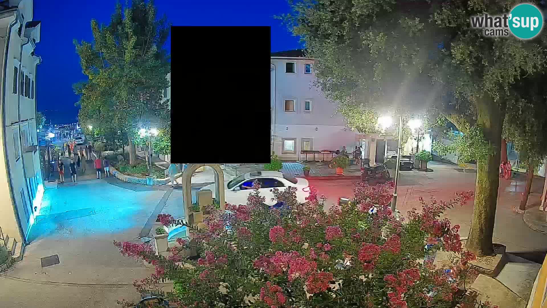 Webcam Centro Draga di Moschiena – Vista live sul centro