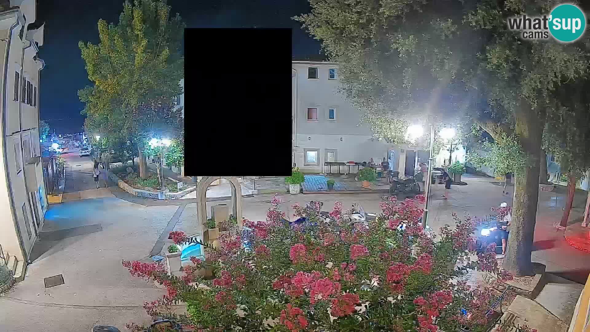 Webcam Centro Draga di Moschiena – Vista live sul centro