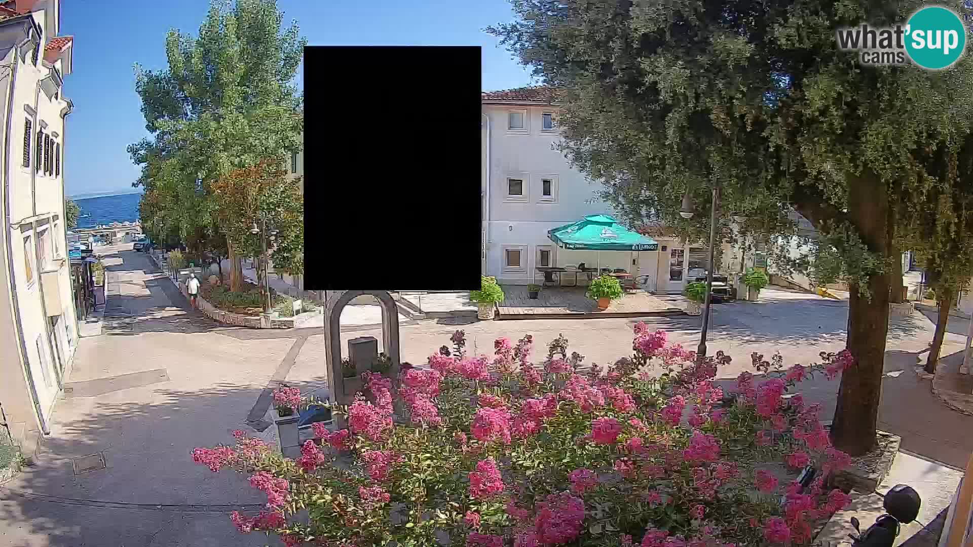 Webcam Centro Draga di Moschiena – Vista live sul centro