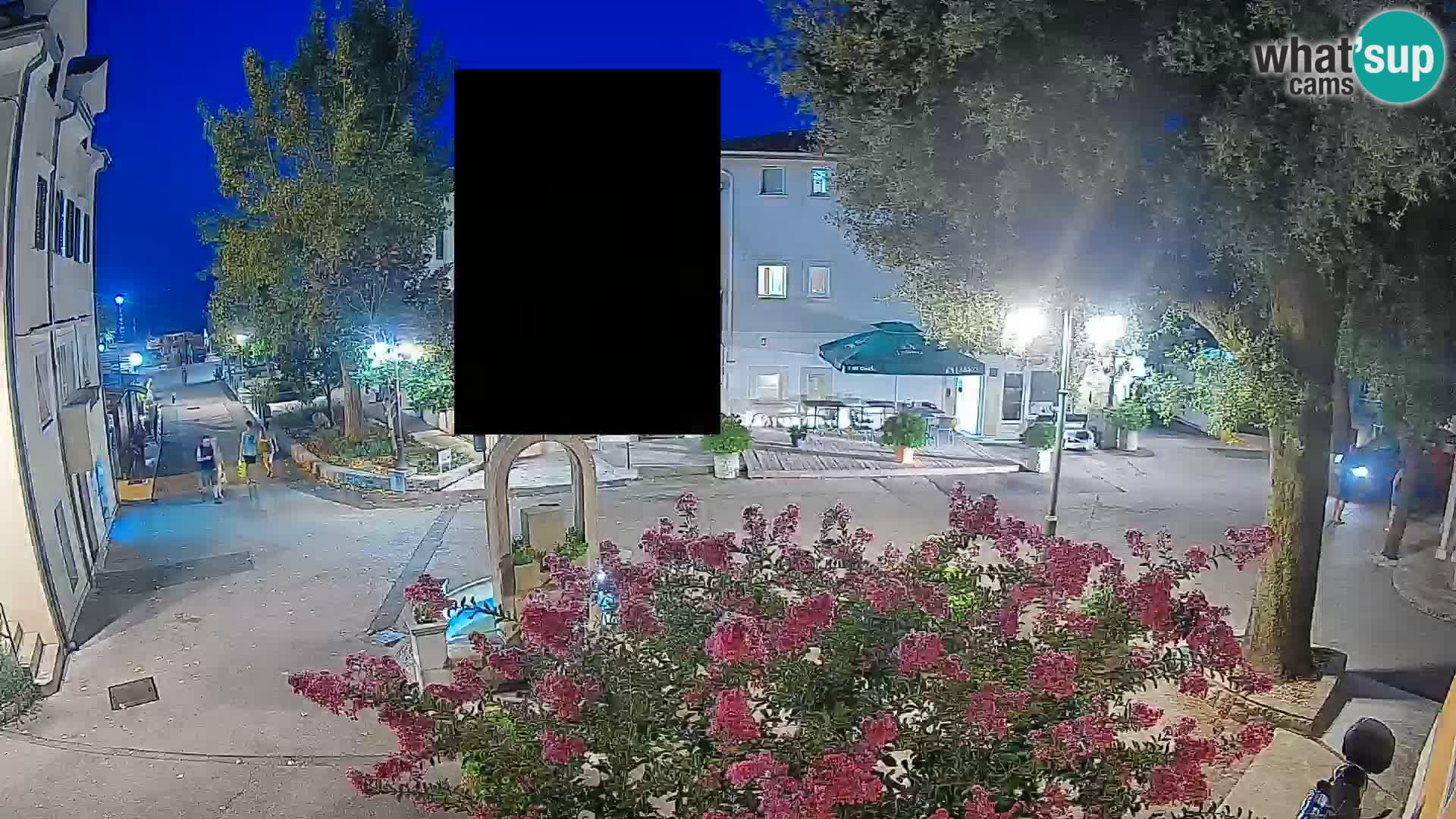 Webcam Centro Draga di Moschiena – Vista live sul centro
