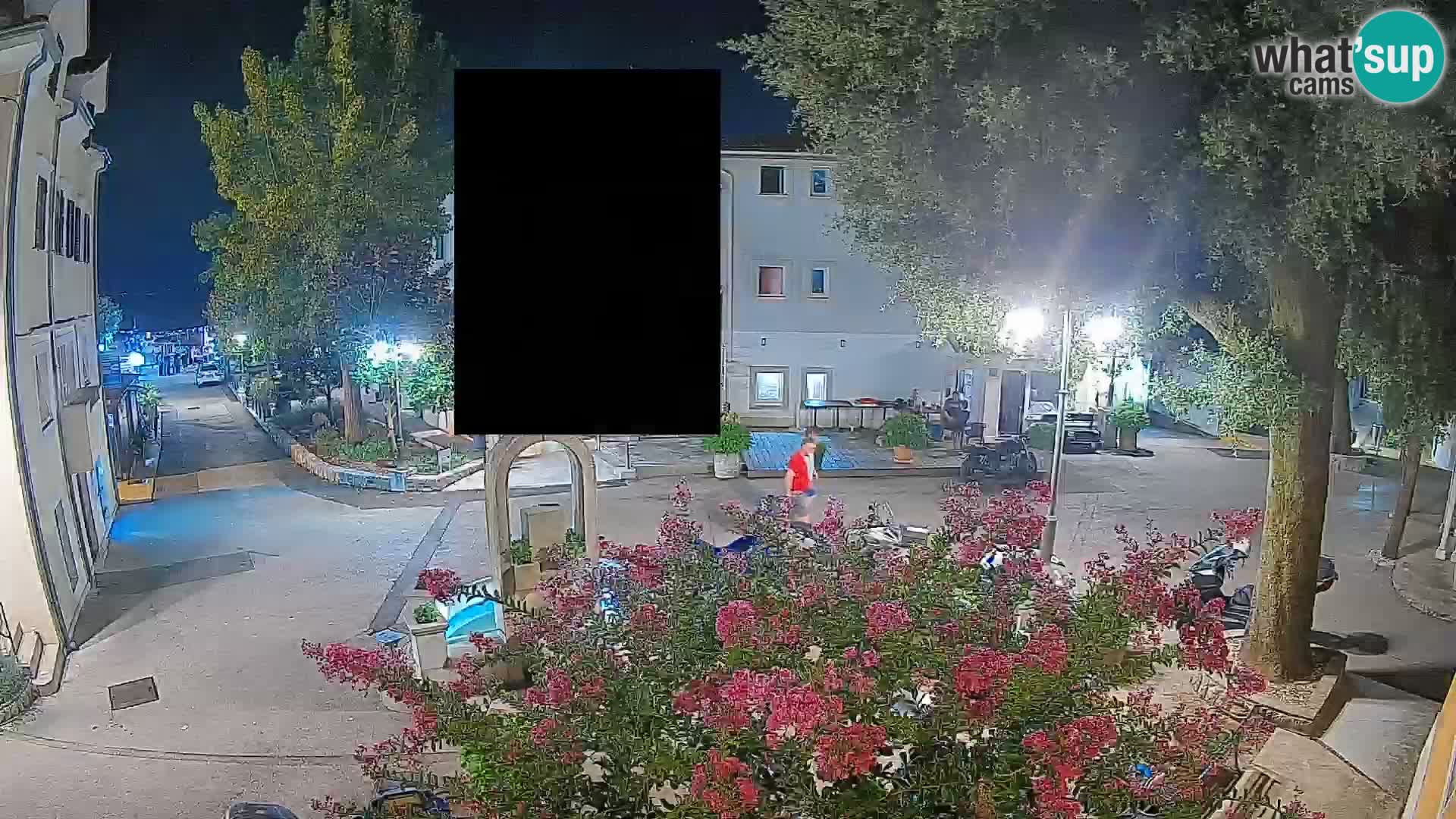 Webcam Centro Draga di Moschiena – Vista live sul centro