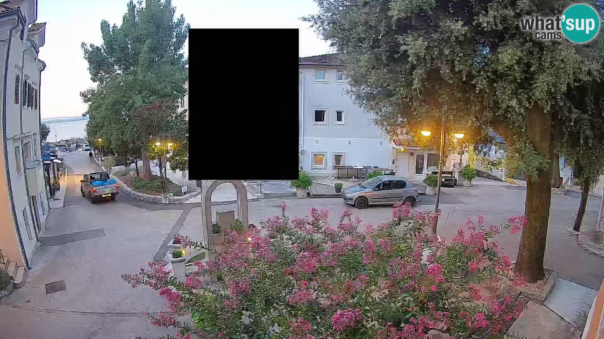 Webcam Centro Draga di Moschiena – Vista live sul centro