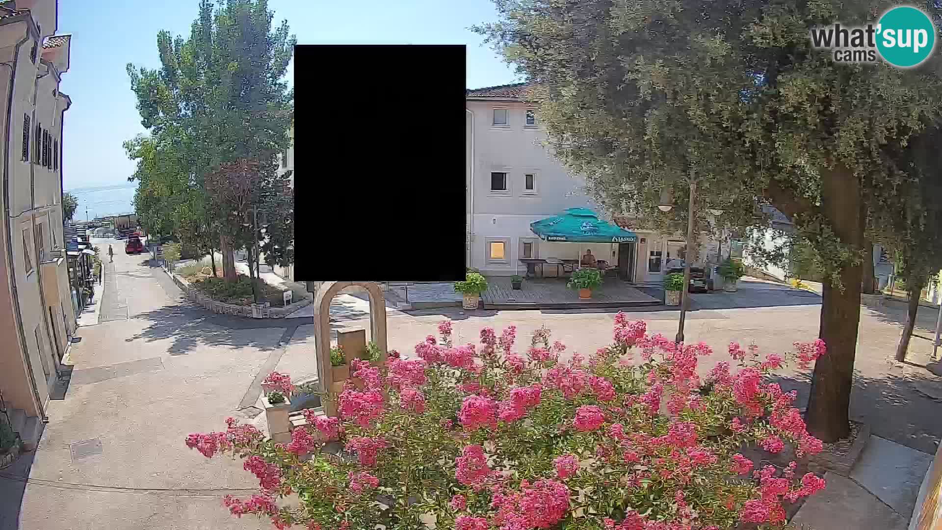 Webcam Centro Draga di Moschiena – Vista live sul centro