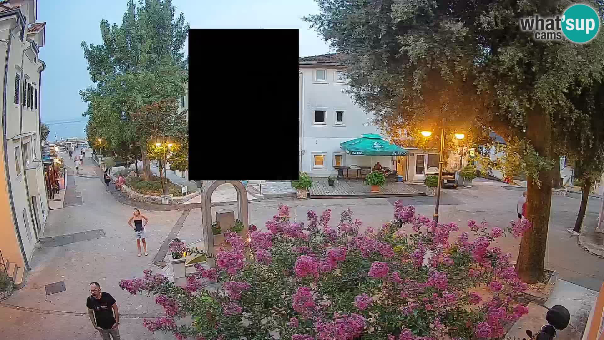 Webcam Centro Draga di Moschiena – Vista live sul centro