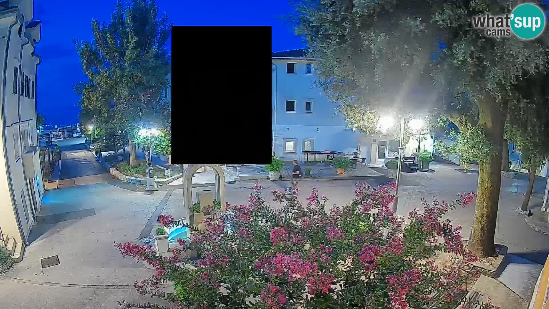 Webcam Centro Draga di Moschiena – Vista live sul centro