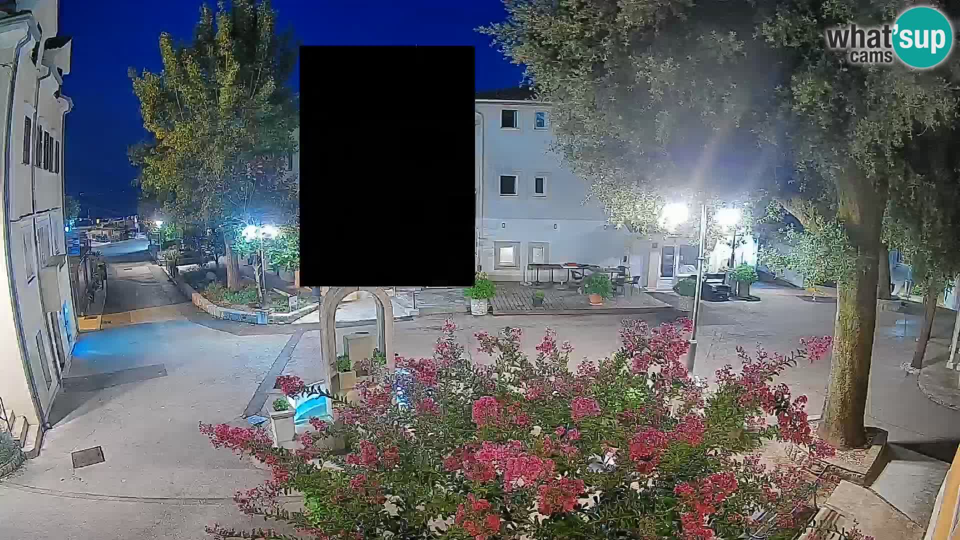 Webcam Centro Draga di Moschiena – Vista live sul centro