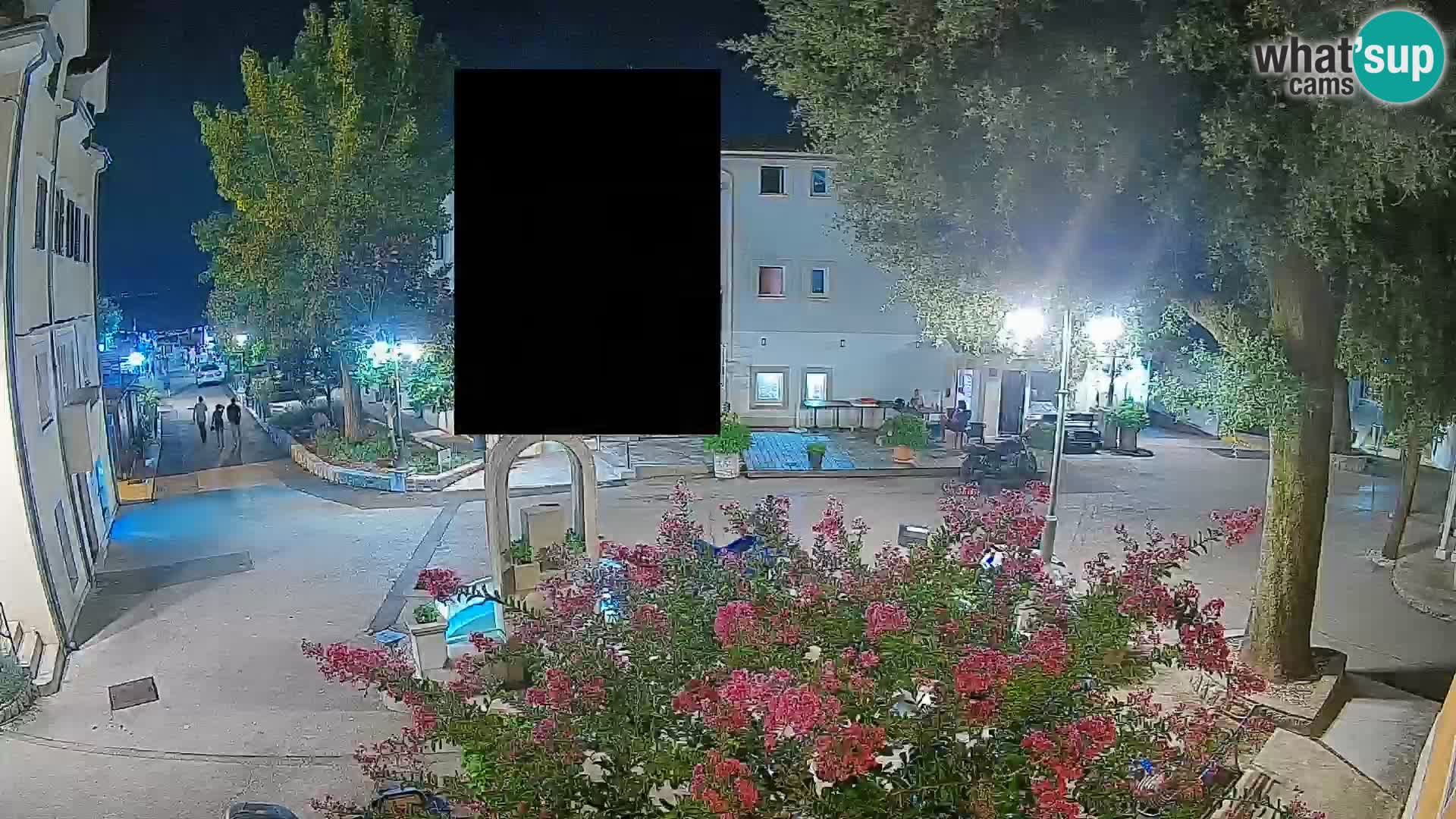 Webcam Centro Draga di Moschiena – Vista live sul centro