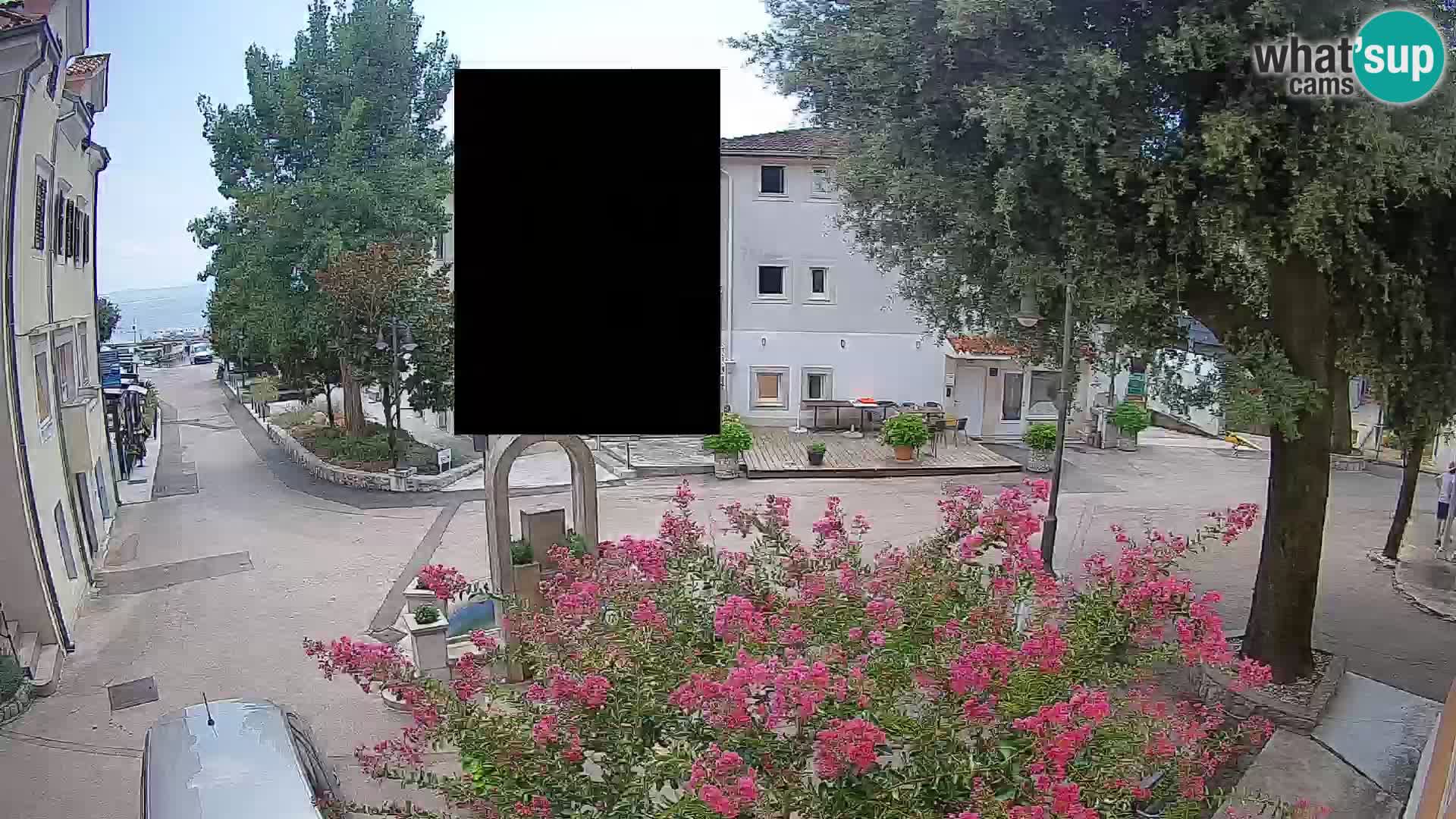 Webcam Centro Draga di Moschiena – Vista live sul centro