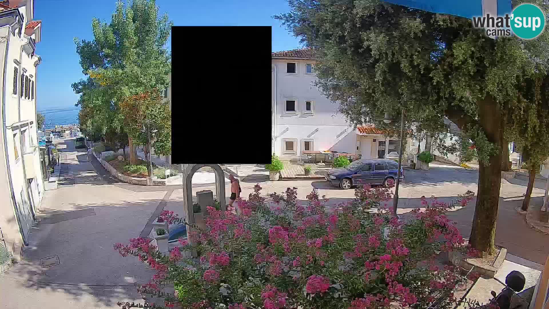 Webcam Centro Draga di Moschiena – Vista live sul centro