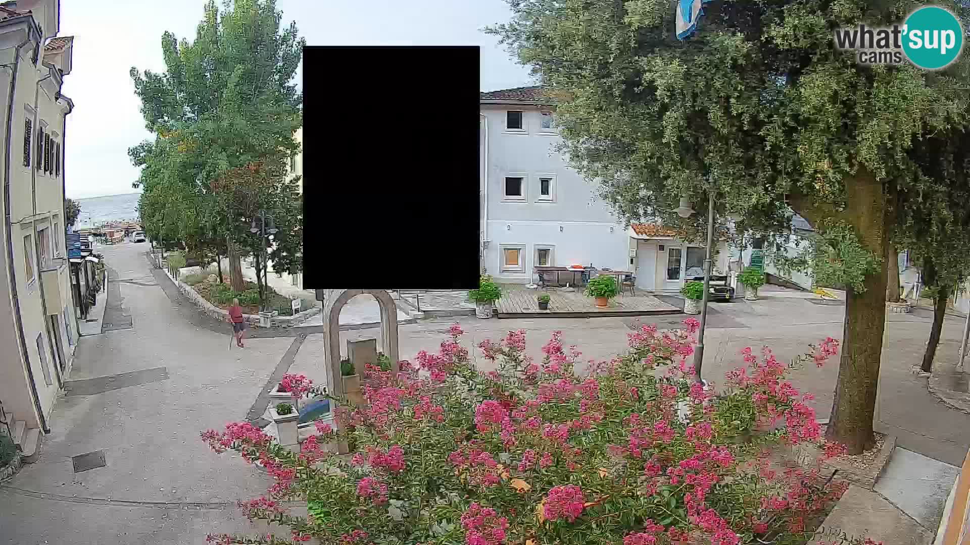 Webcam Centro Draga di Moschiena – Vista live sul centro