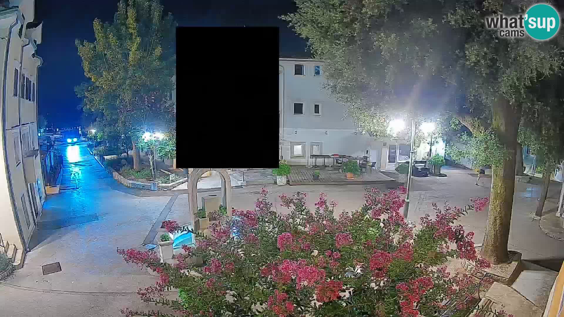 Webcam Centro Draga di Moschiena – Vista live sul centro