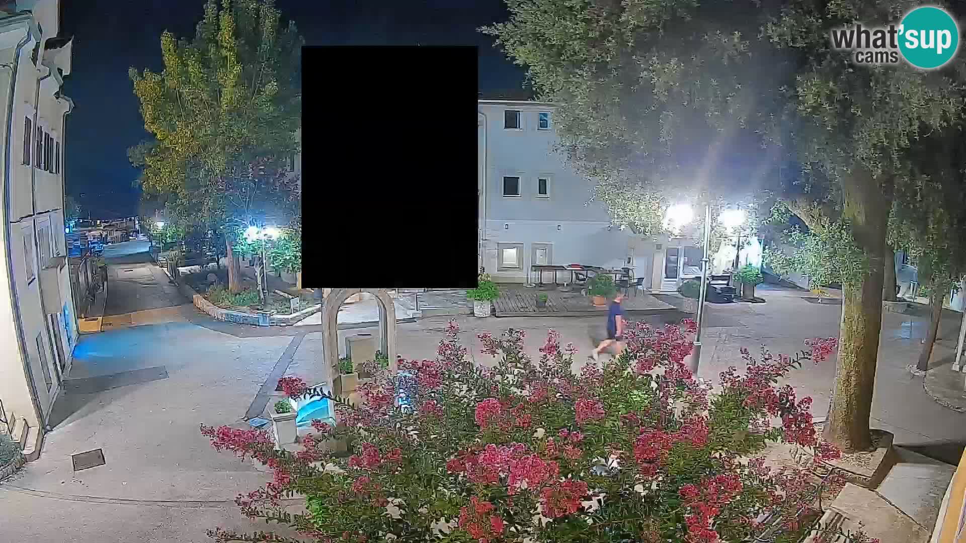 Webcam Centro Draga di Moschiena – Vista live sul centro