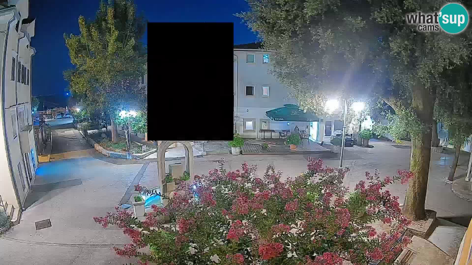 Webcam Centro Draga di Moschiena – Vista live sul centro