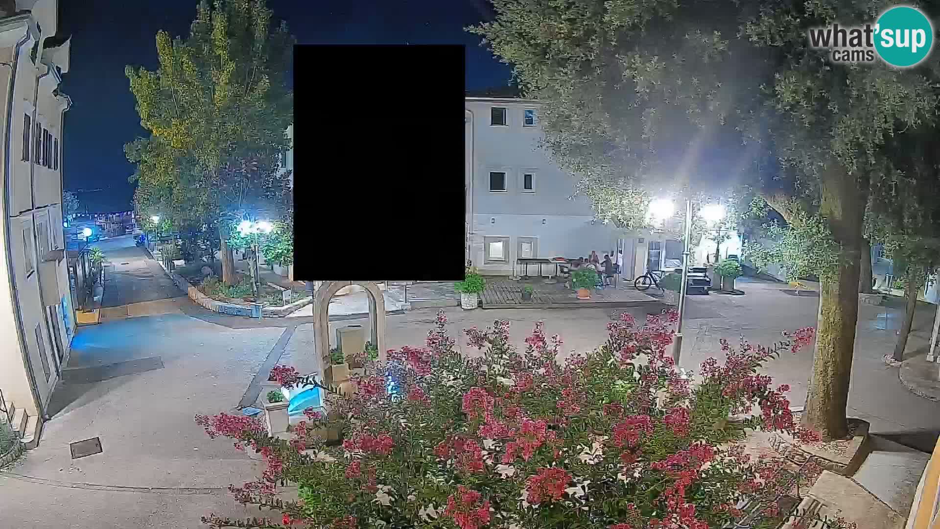 Webcam Centro Draga di Moschiena – Vista live sul centro