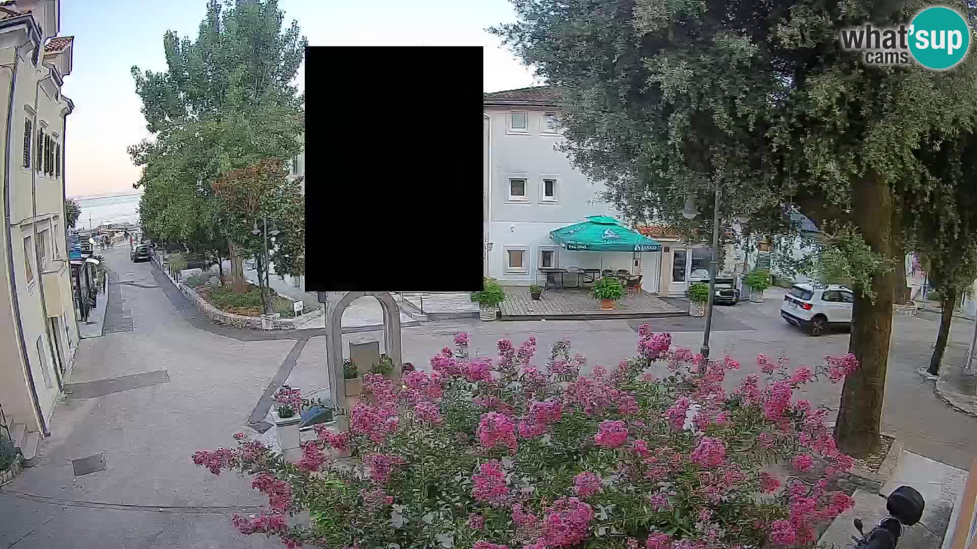 Webcam Centro Draga di Moschiena – Vista live sul centro
