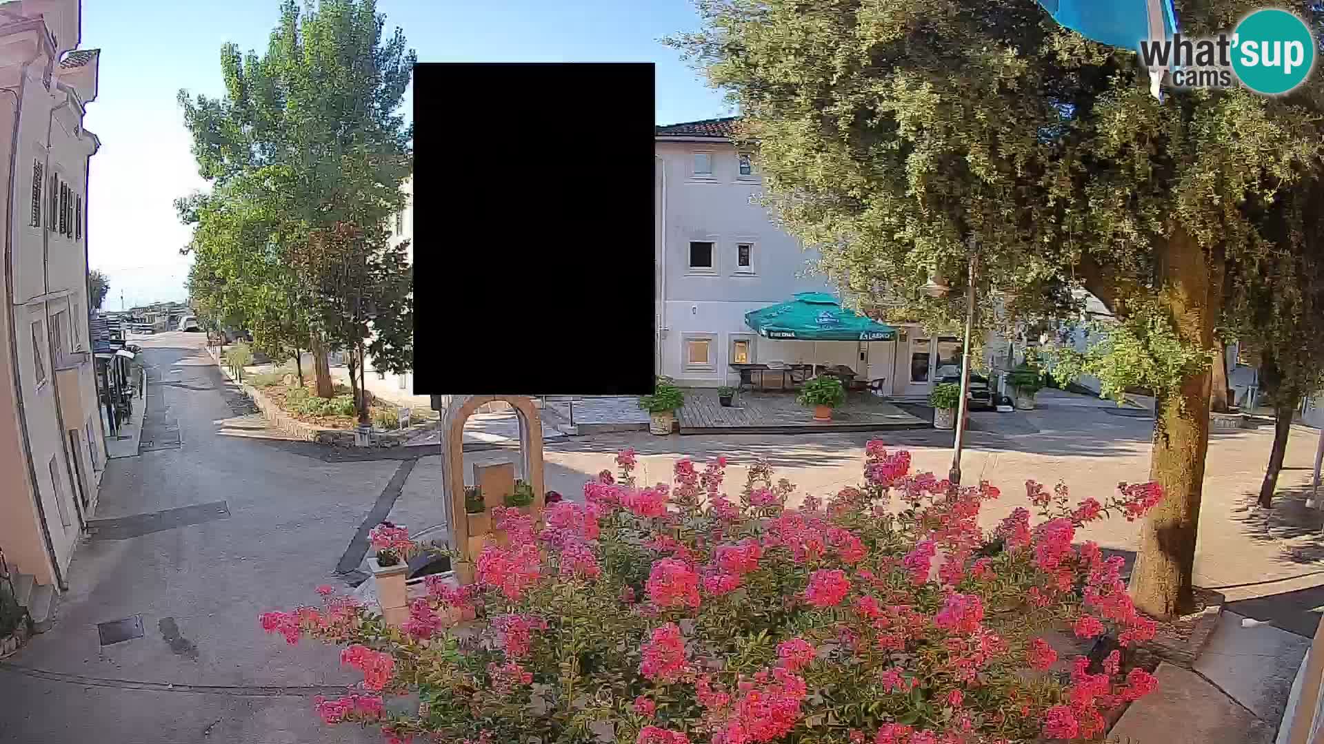 Webcam Centro Draga di Moschiena – Vista live sul centro
