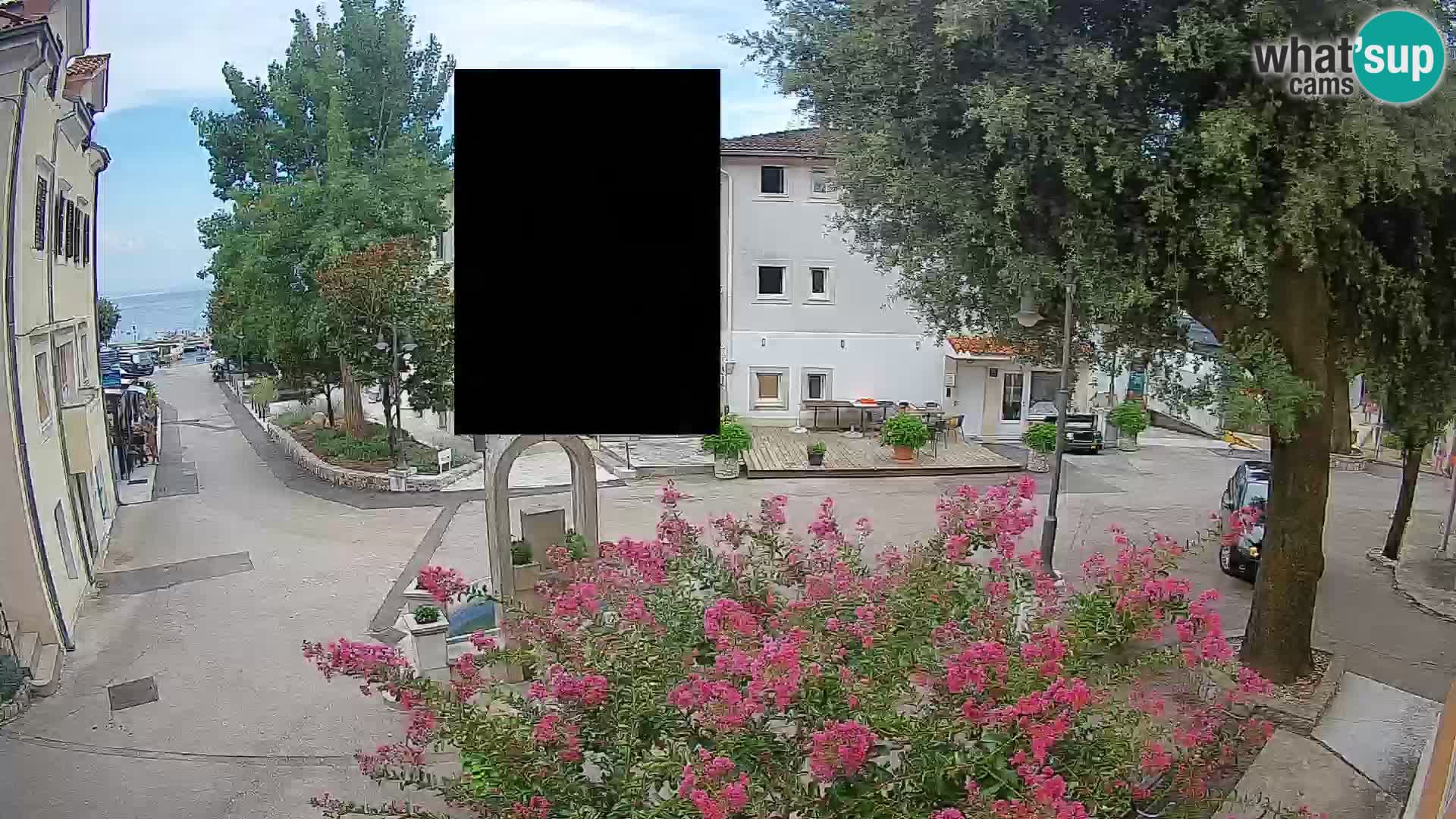 Webcam Centro Draga di Moschiena – Vista live sul centro