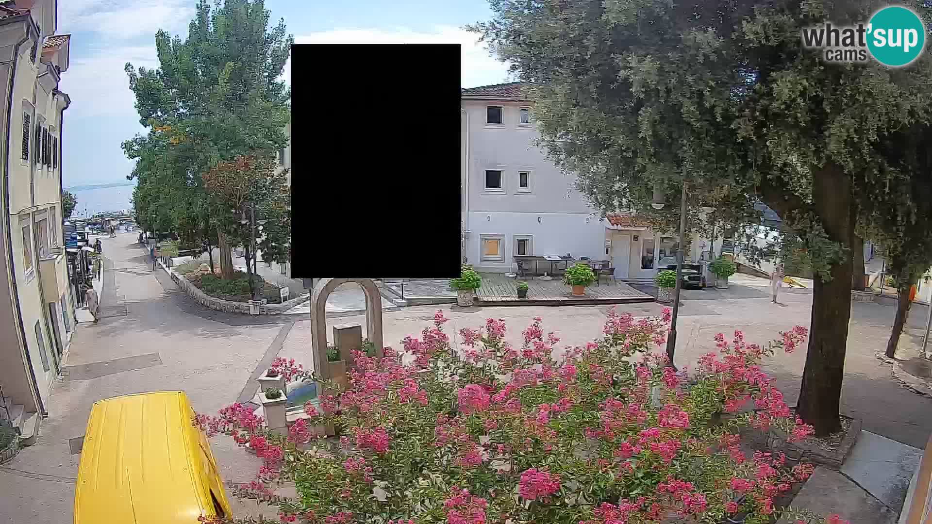 Webcam Centro Draga di Moschiena – Vista live sul centro